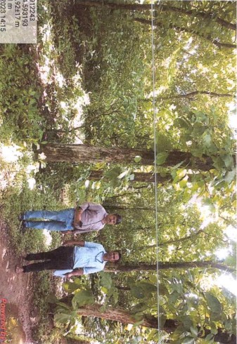 OPEN NA LAND for sale in Karwar