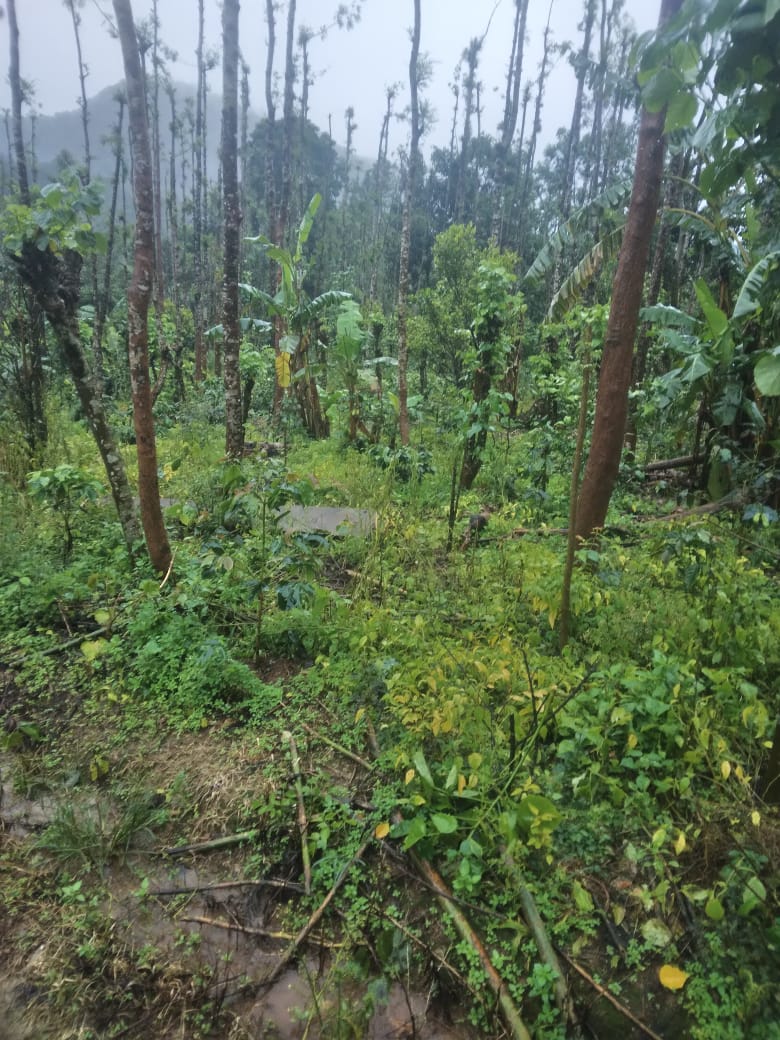 Plot for sale in Virajpete — photo 1