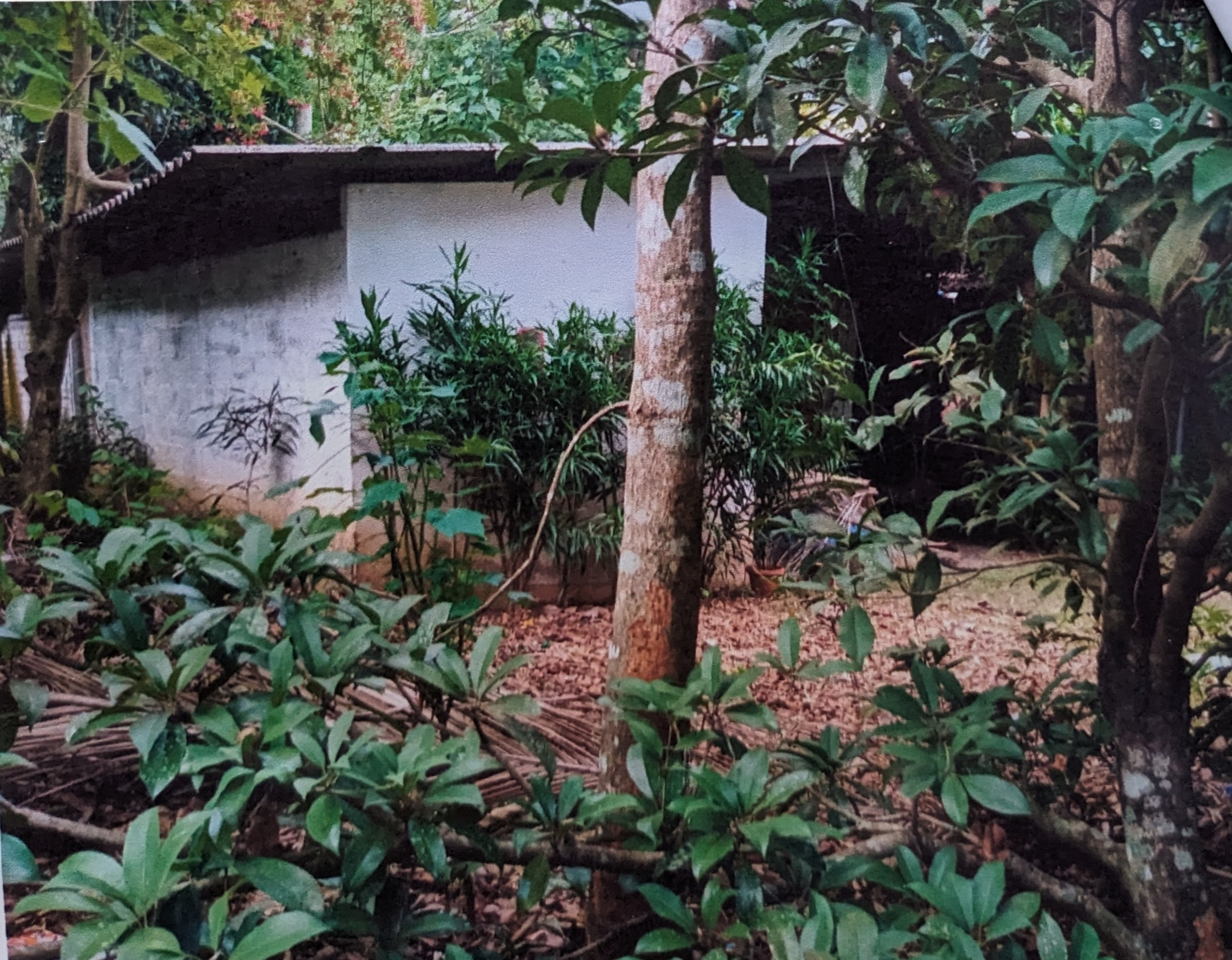 Plot for sale in Pulamanthole Perinthalmanna — photo 6