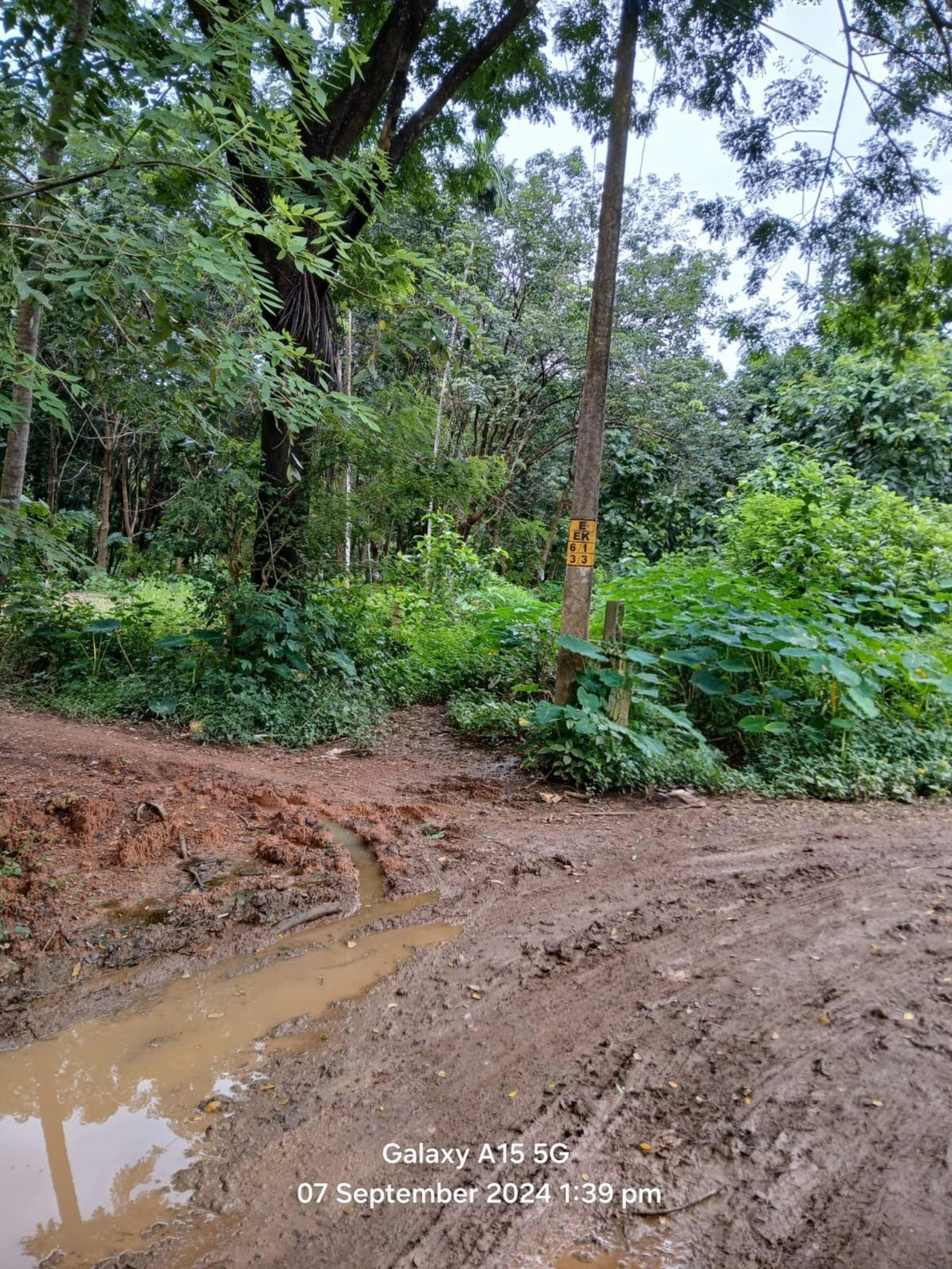Plot for sale in Nilambur — photo 4