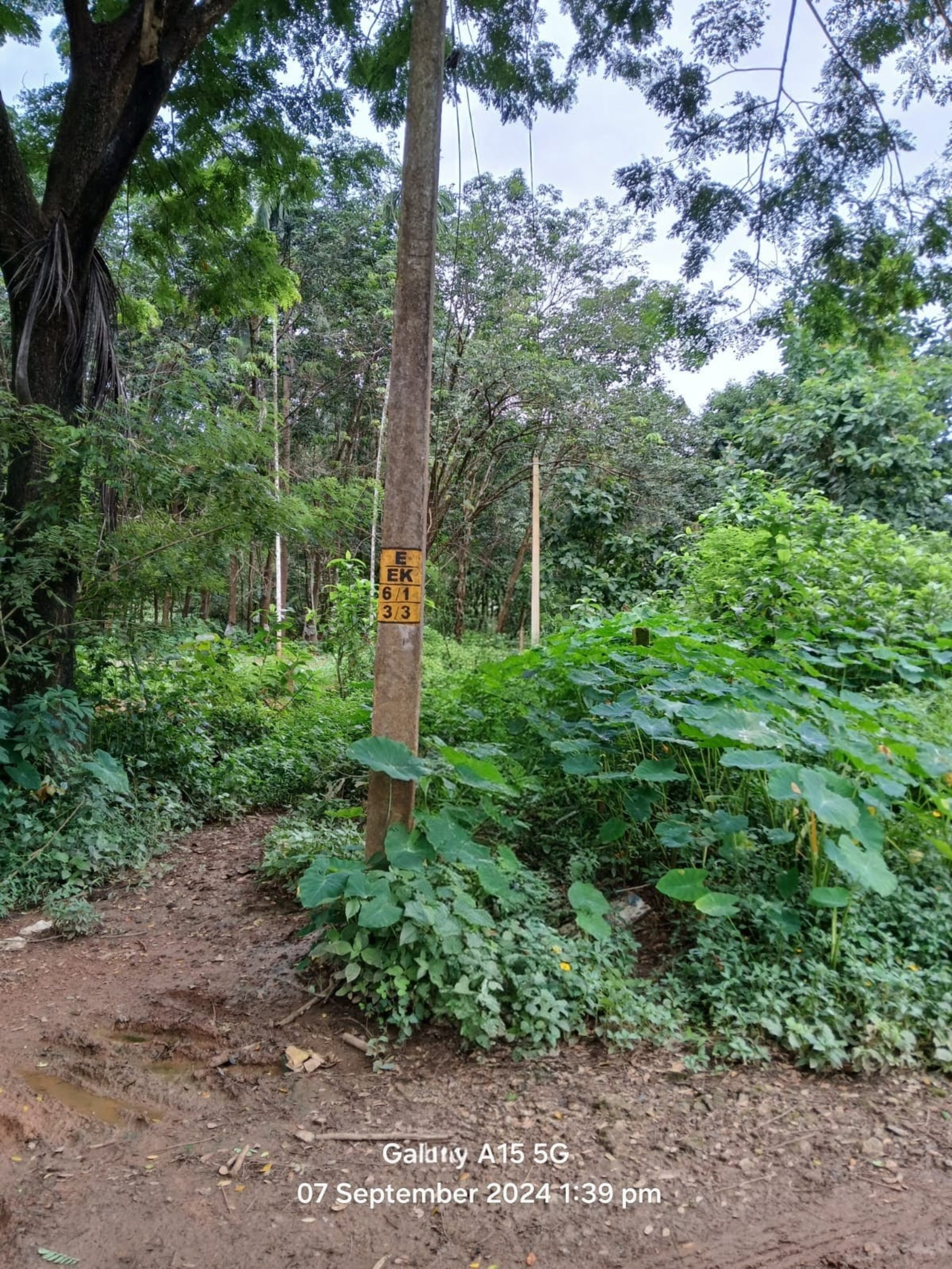 Plot for sale in Nilambur — photo 1