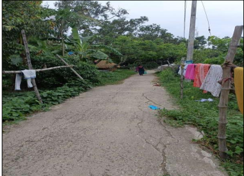 VACANT LAND for sale in CHAMPAPUKUR , BASIRHAT NORTH 24 PGS 743291 Basirhat — photo 1