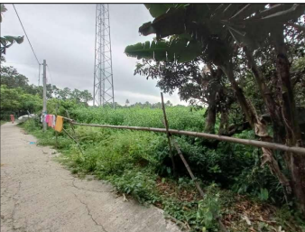 VACANT LAND for sale in CHAMPAPUKUR , BASIRHAT NORTH 24 PGS 743291 Basirhat — photo 3