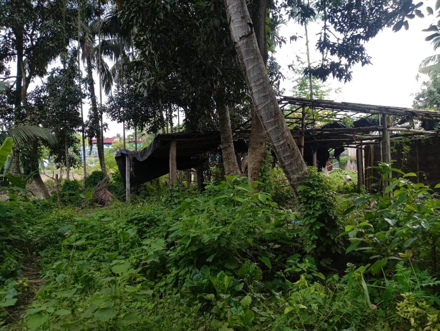 7840 square feet Individual House for sale in Badkulla — photo 2