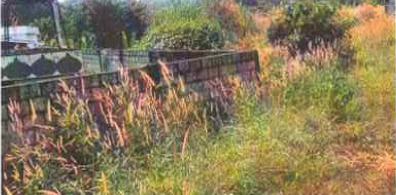 Plot for sale in Perinthalmanna — photo 1