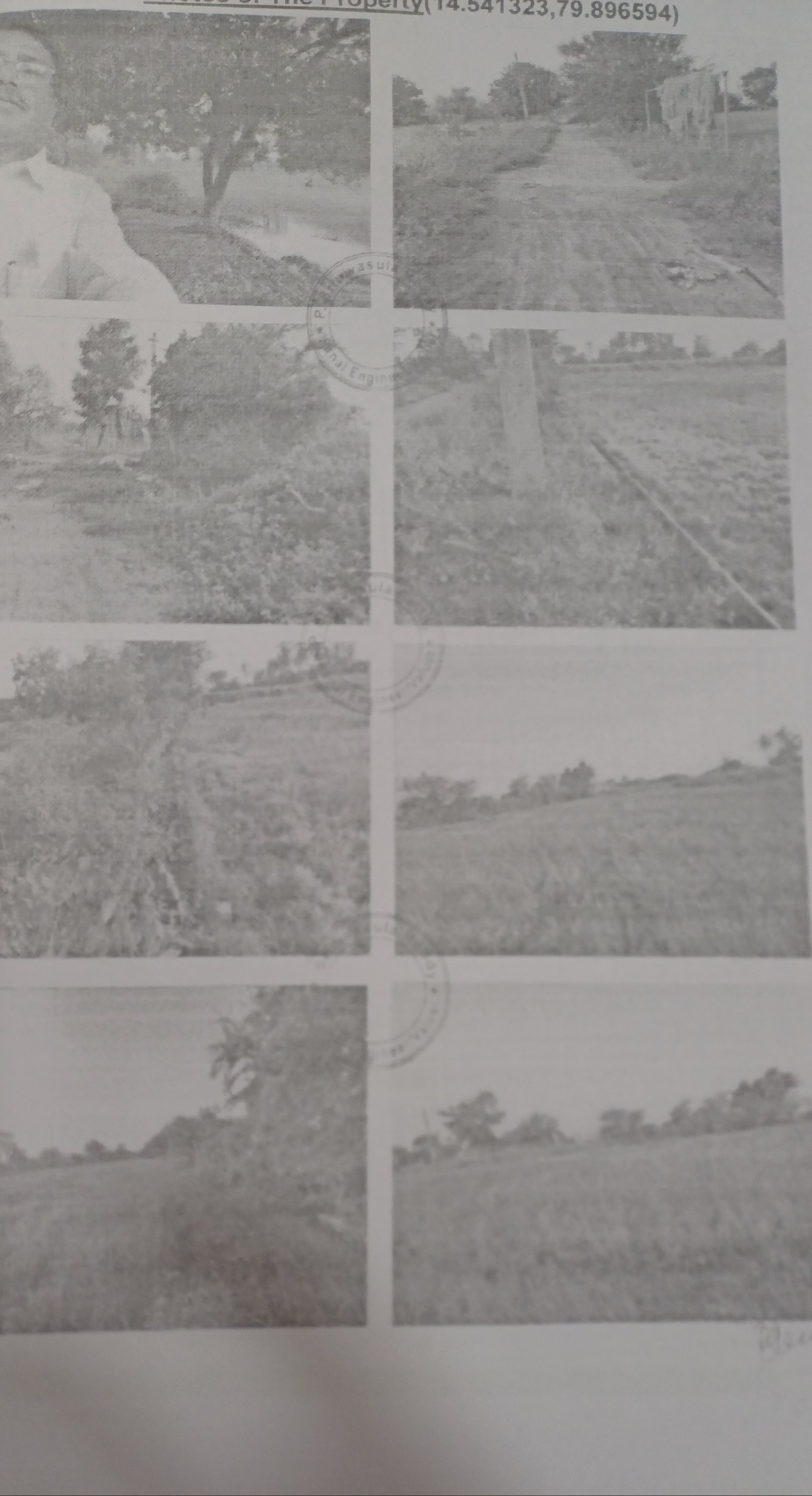 Open land for sale in Nellore — photo 1