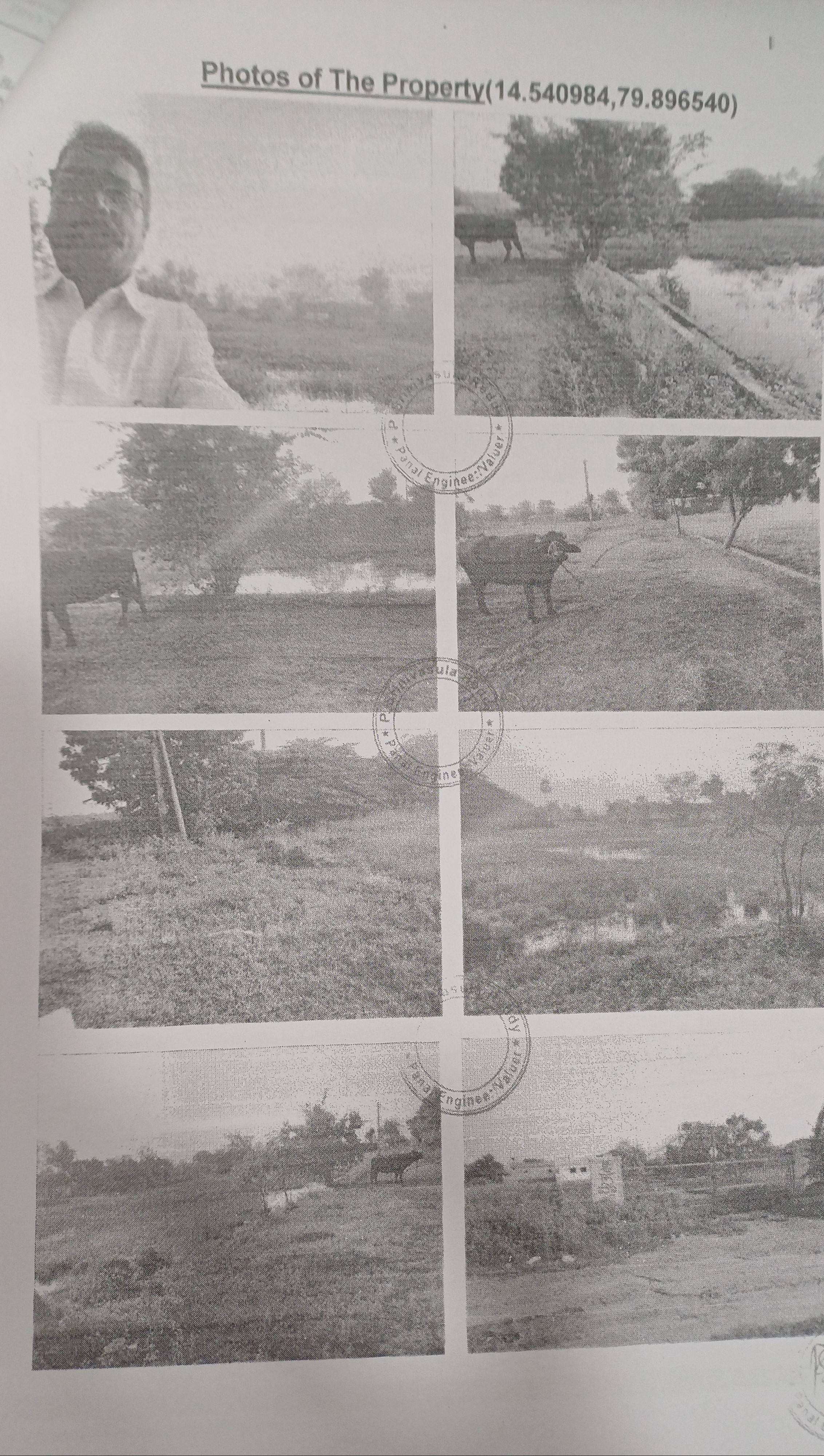 open land for sale in Nellore — photo 1