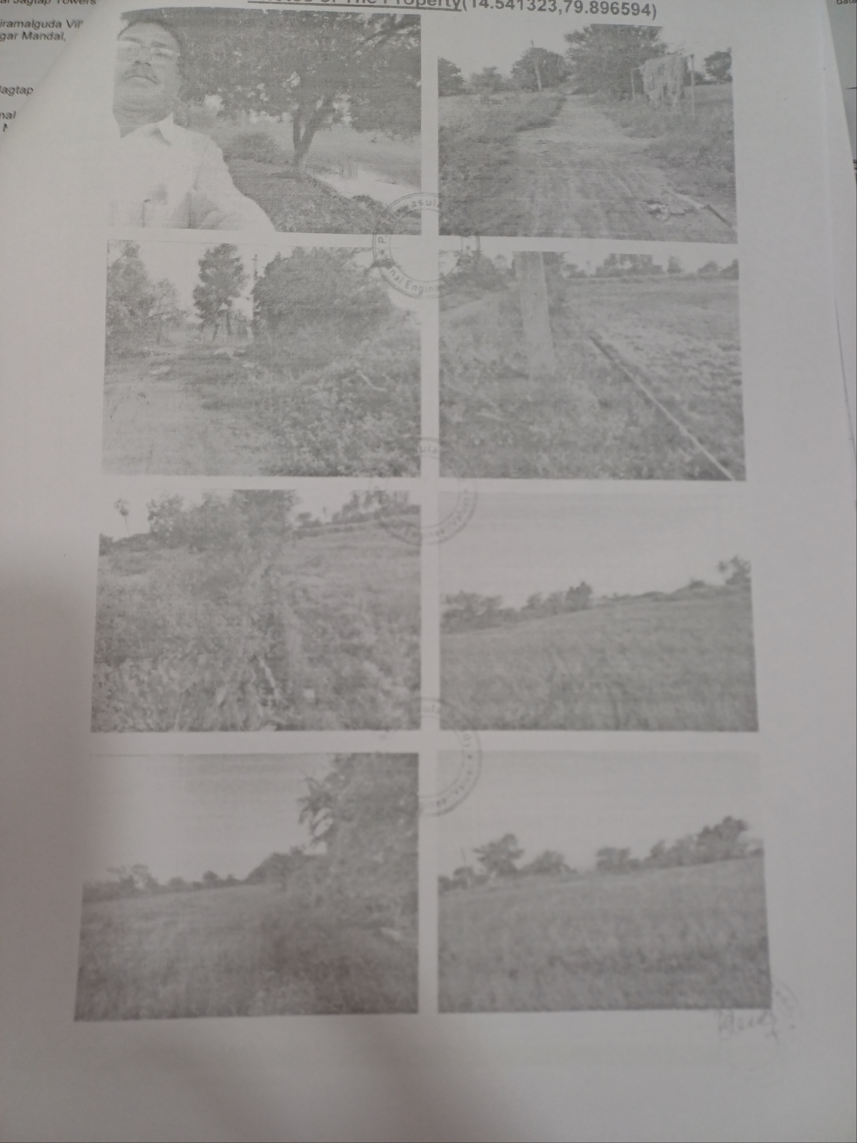 open land for sale in Nellore — photo 1