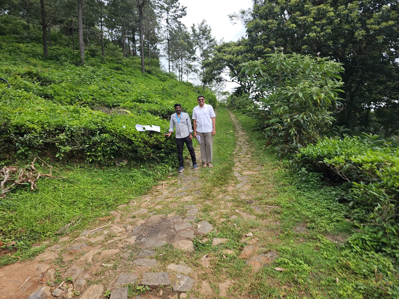 TEA ESTATE for sale in Kotagiri — photo 1