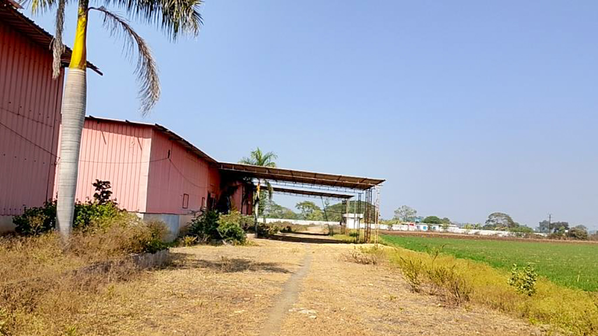 Shed with Plant and Machinery for sale in BURHANPUR Burhanpur — photo 4
