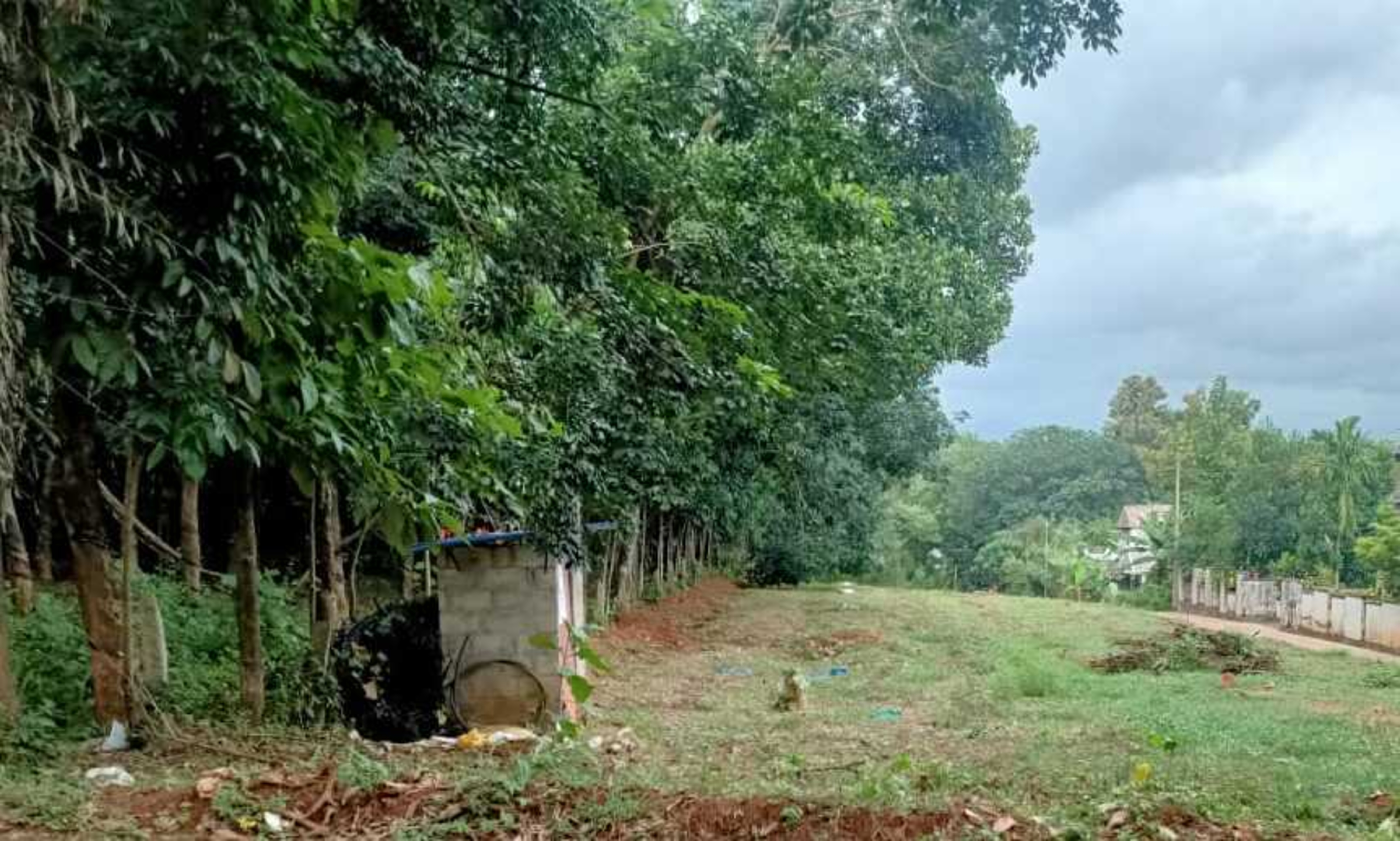 Plot for sale in Nilambur — photo 7