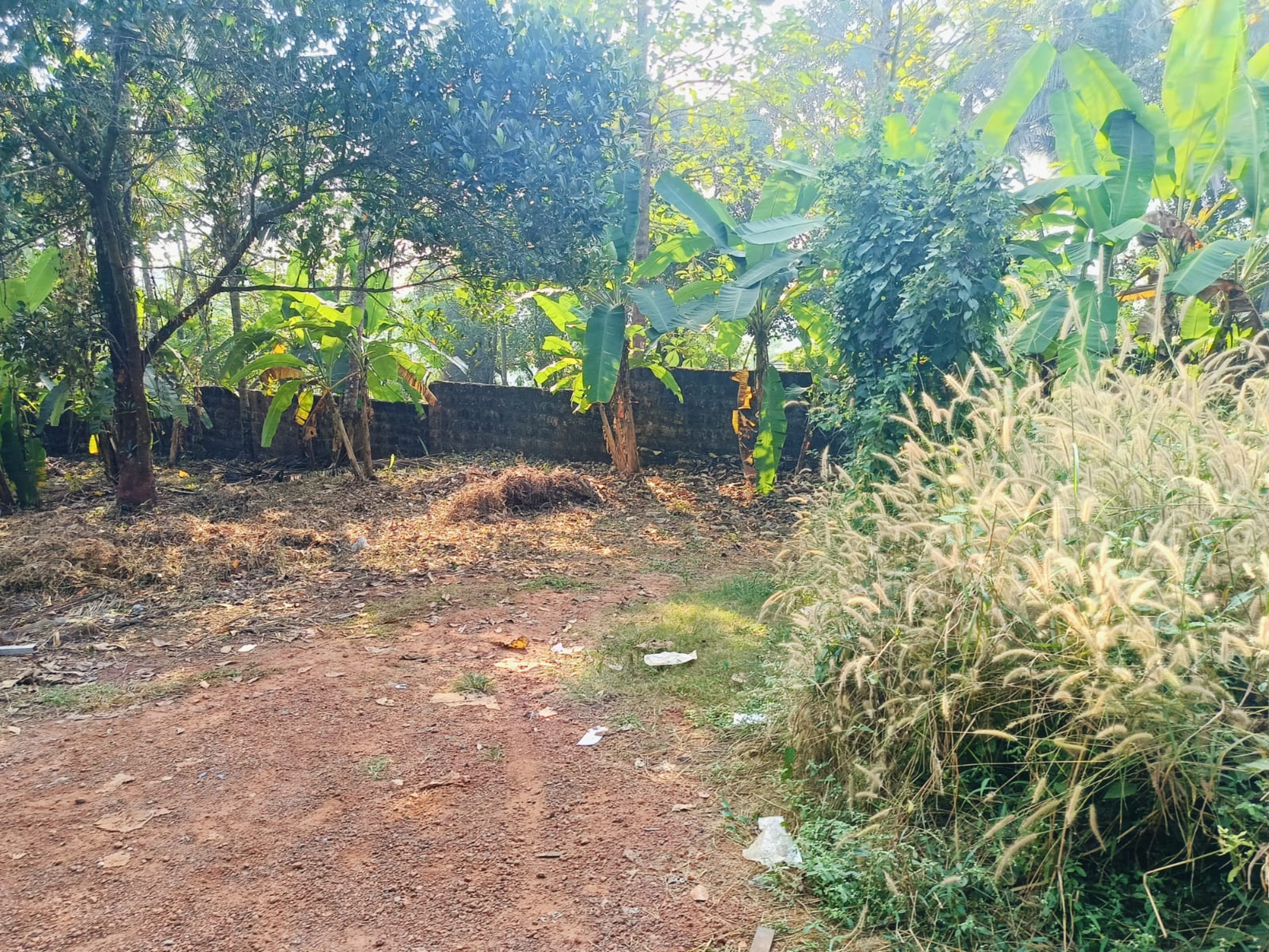 Plot for sale in Kozhikode — photo 1
