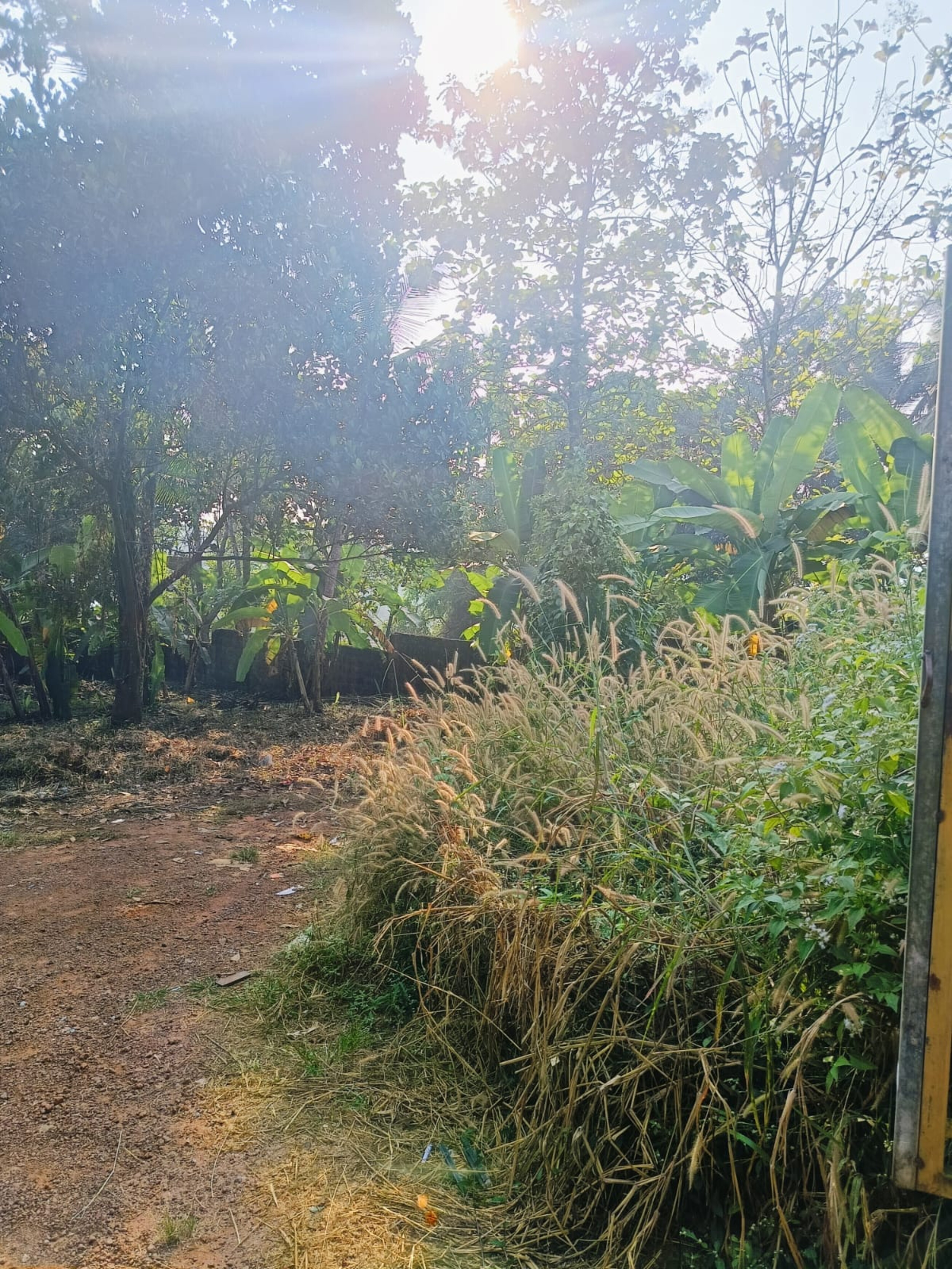 Plot for sale in Kozhikode — photo 2