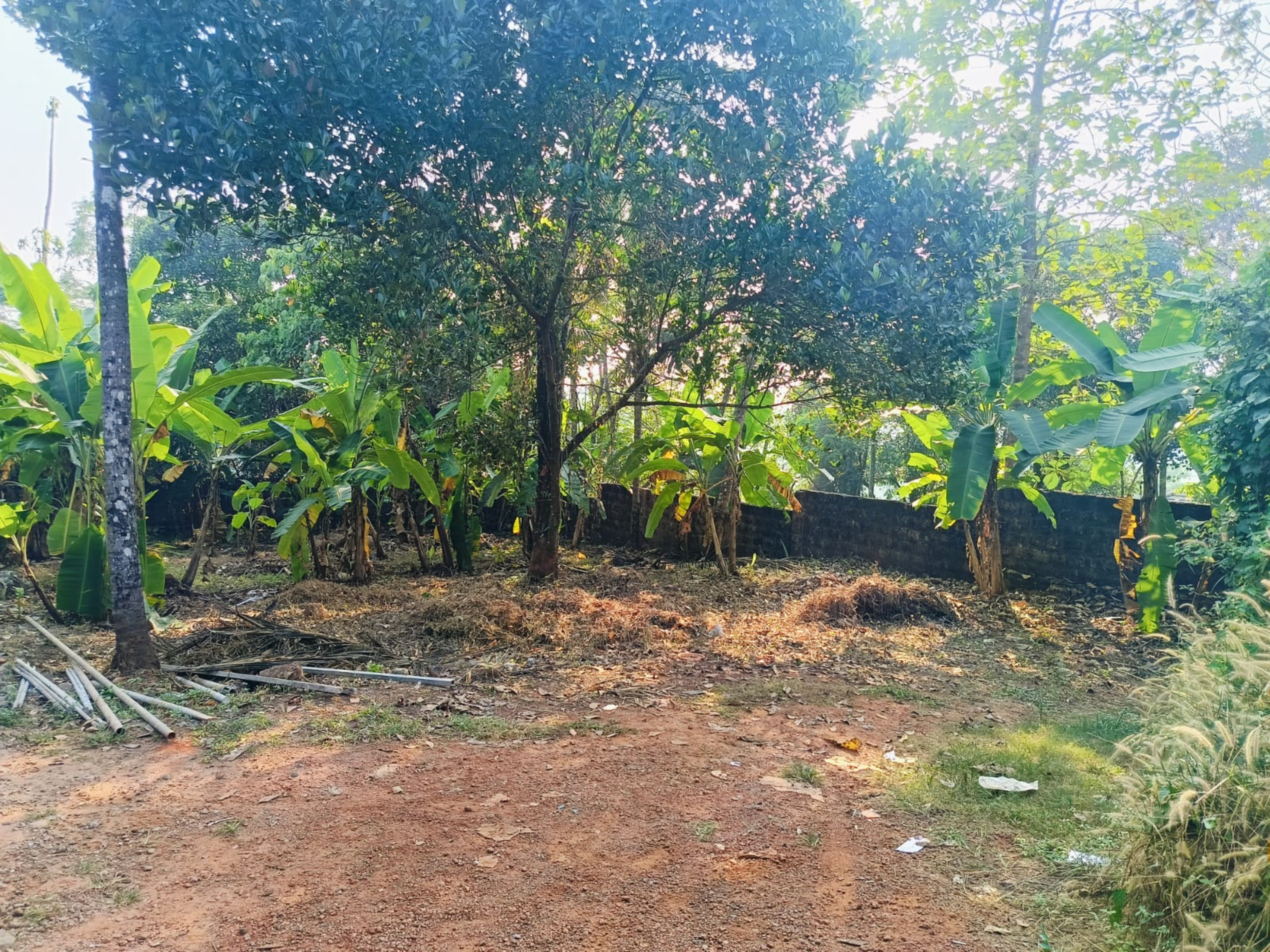 Plot for sale in Kozhikode — photo 3