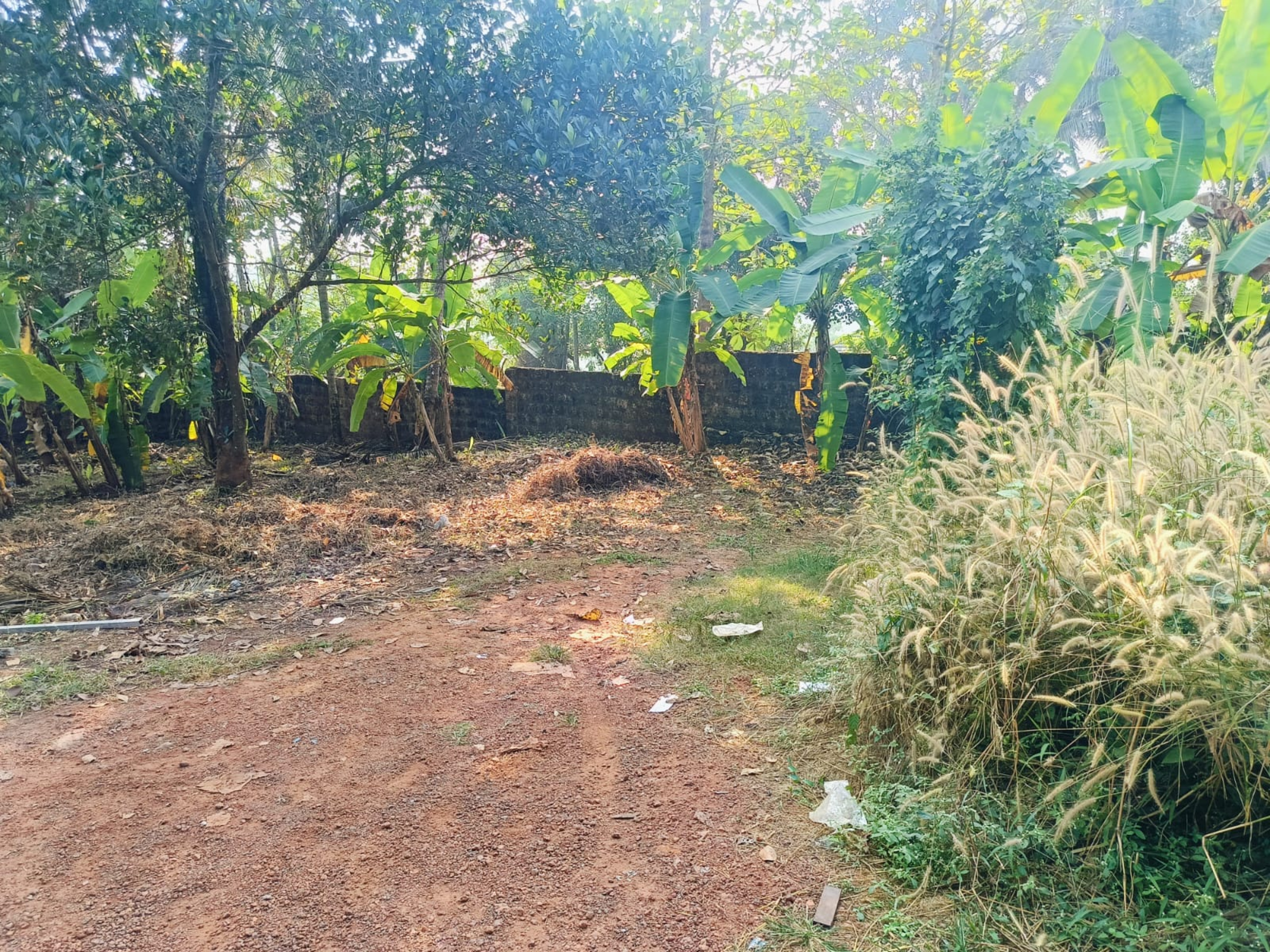 Plot for sale in Kozhikode — photo 4
