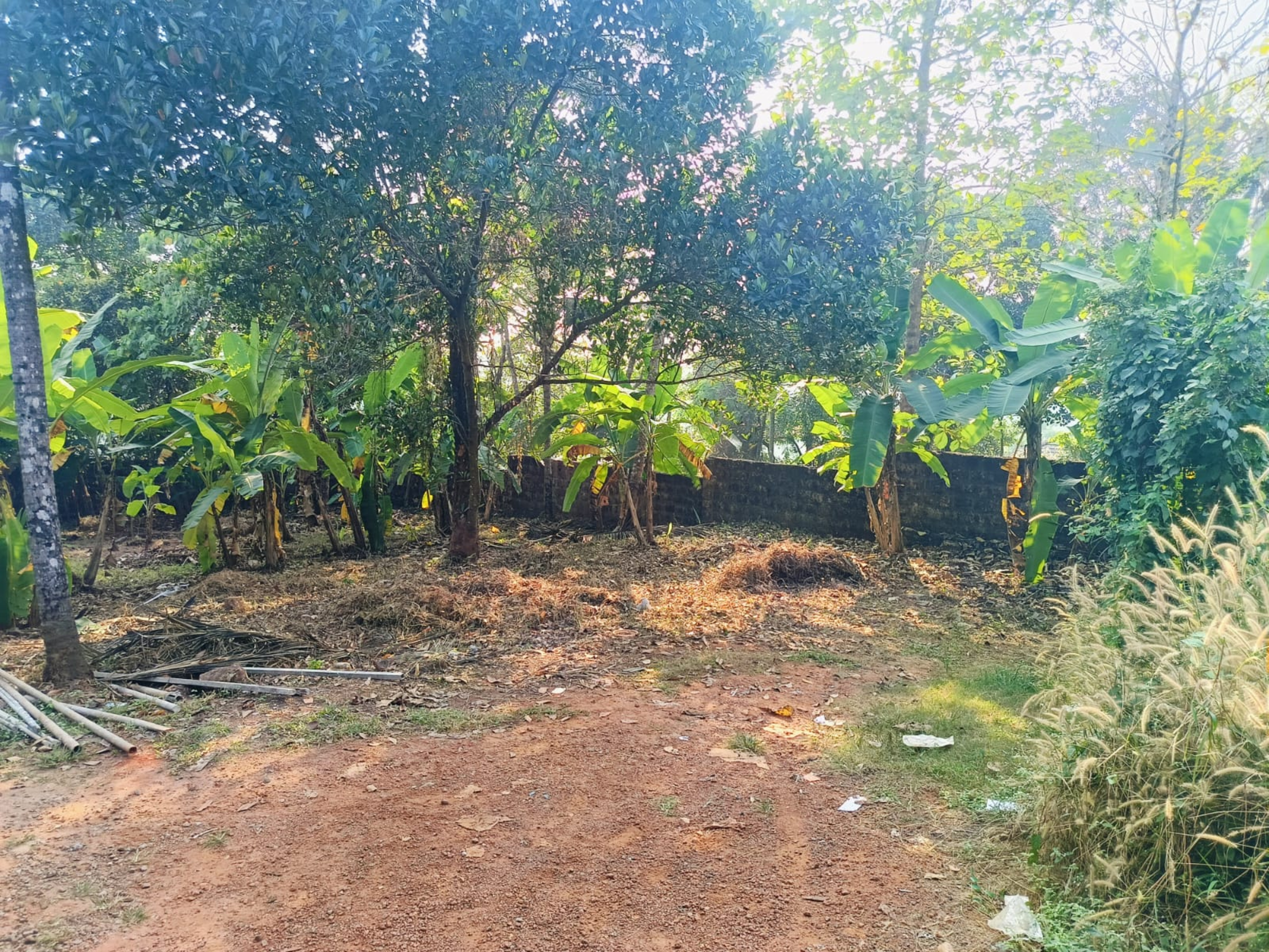 Plot for sale in Kozhikode — photo 7