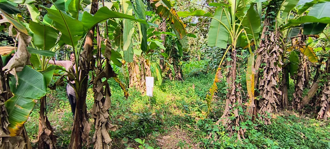 Plot for sale in Thodupuzha — photo 1