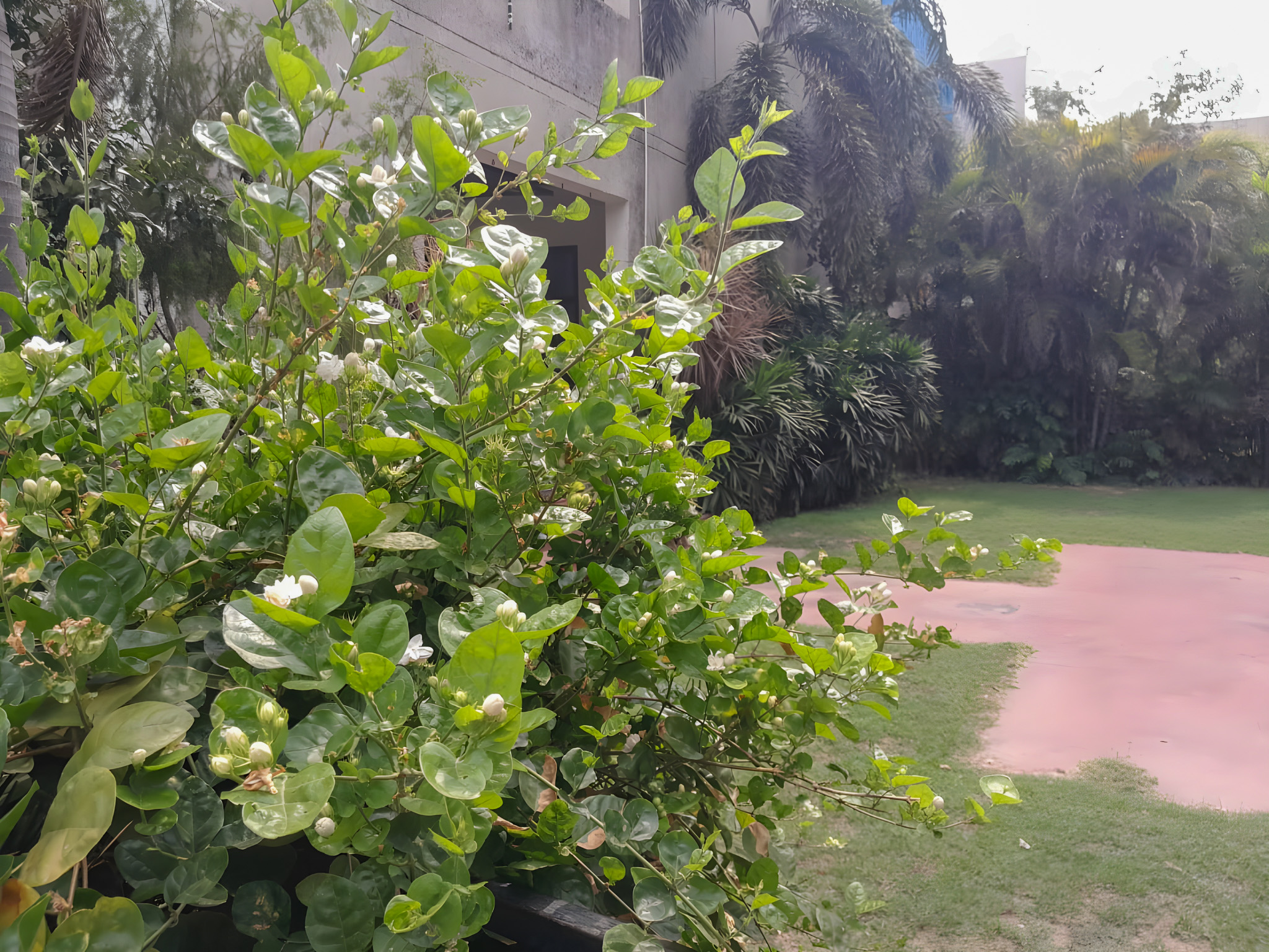 130 square yard Individual House for sale in Ludhiana — photo 6