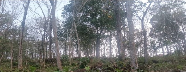 VACCANT LAND for sale in Kozhenchery — photo 2