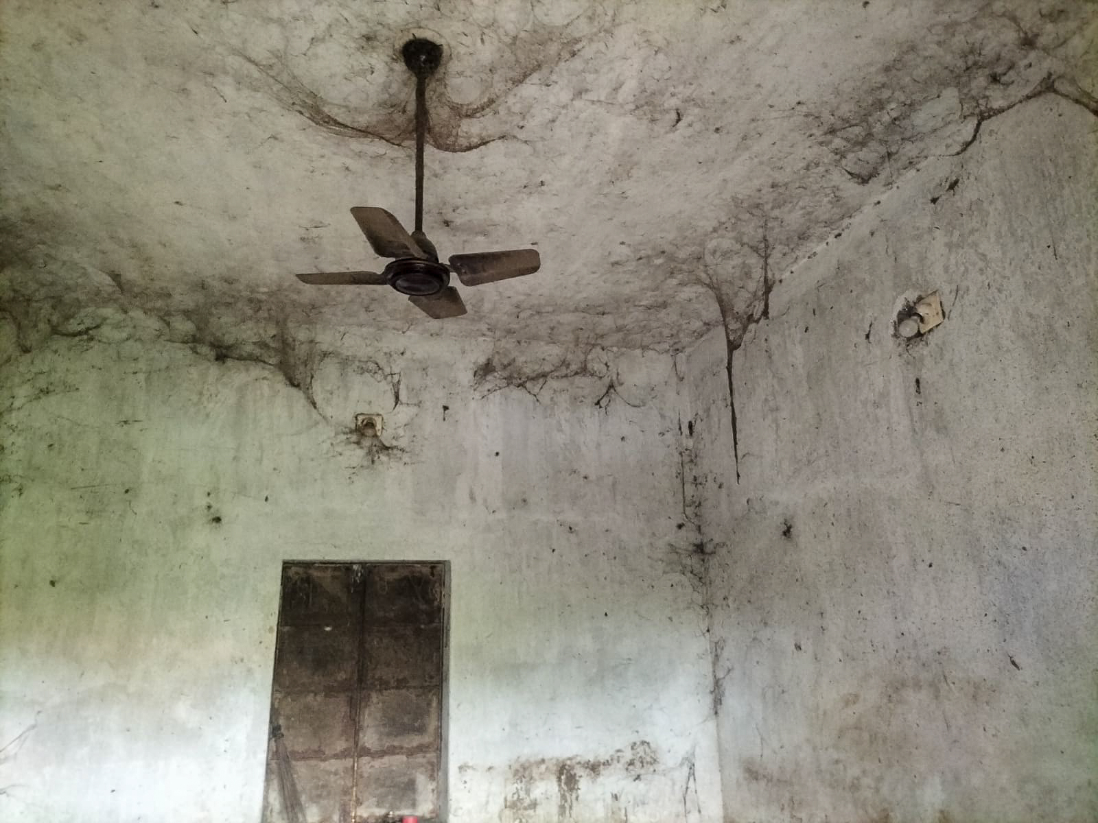 Individual House for sale in Charibatia — photo 6