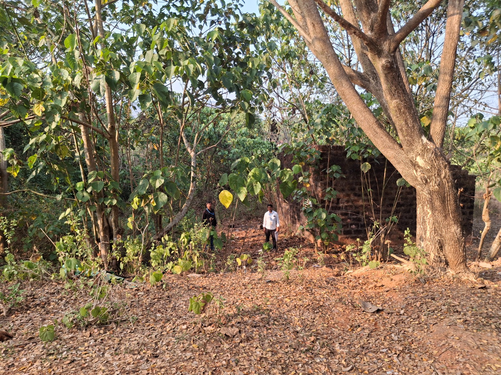 Plot for sale in Mudbidri