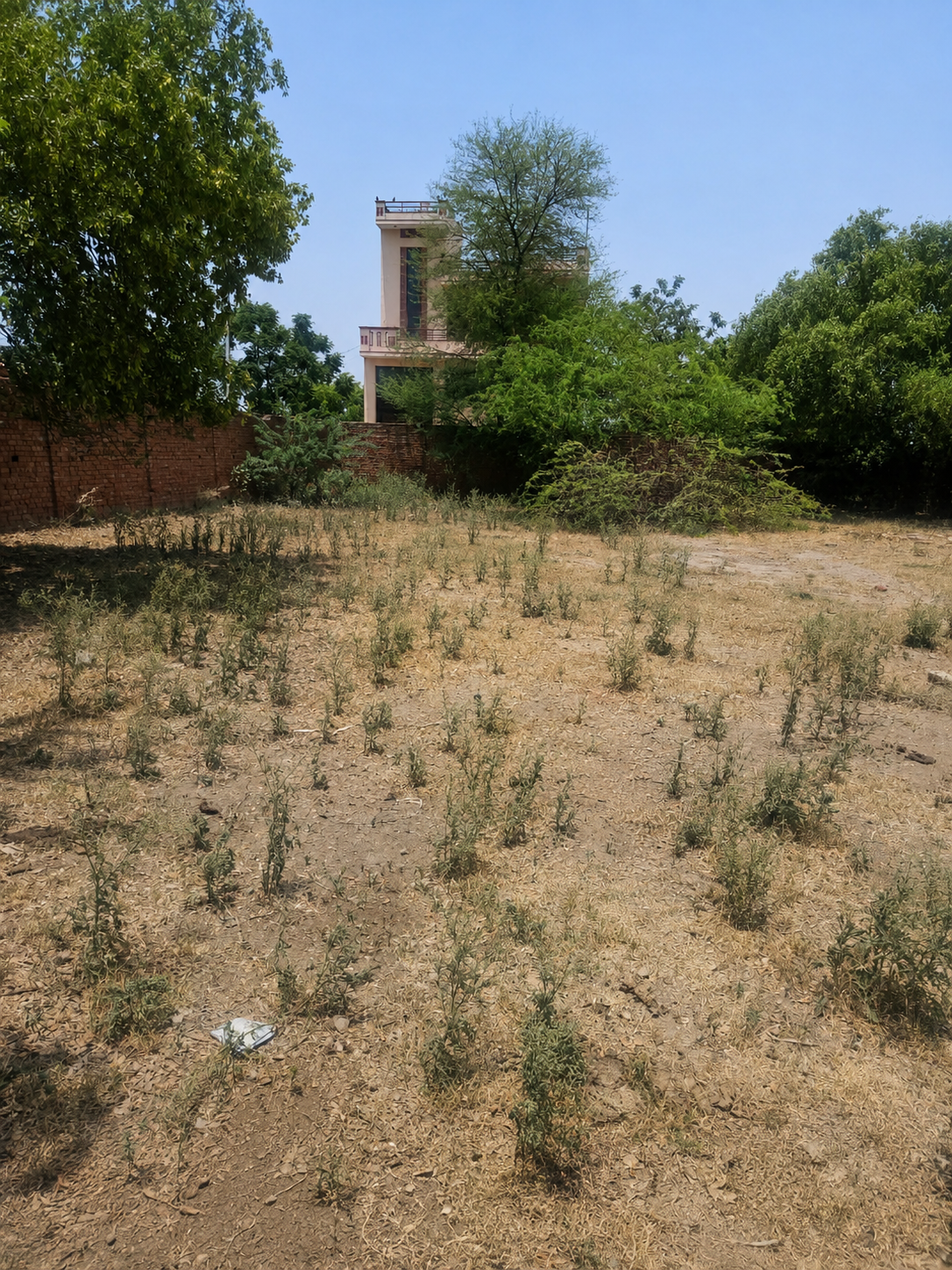 Vacant plot for sale in BATHINDA Bathinda — photo 1