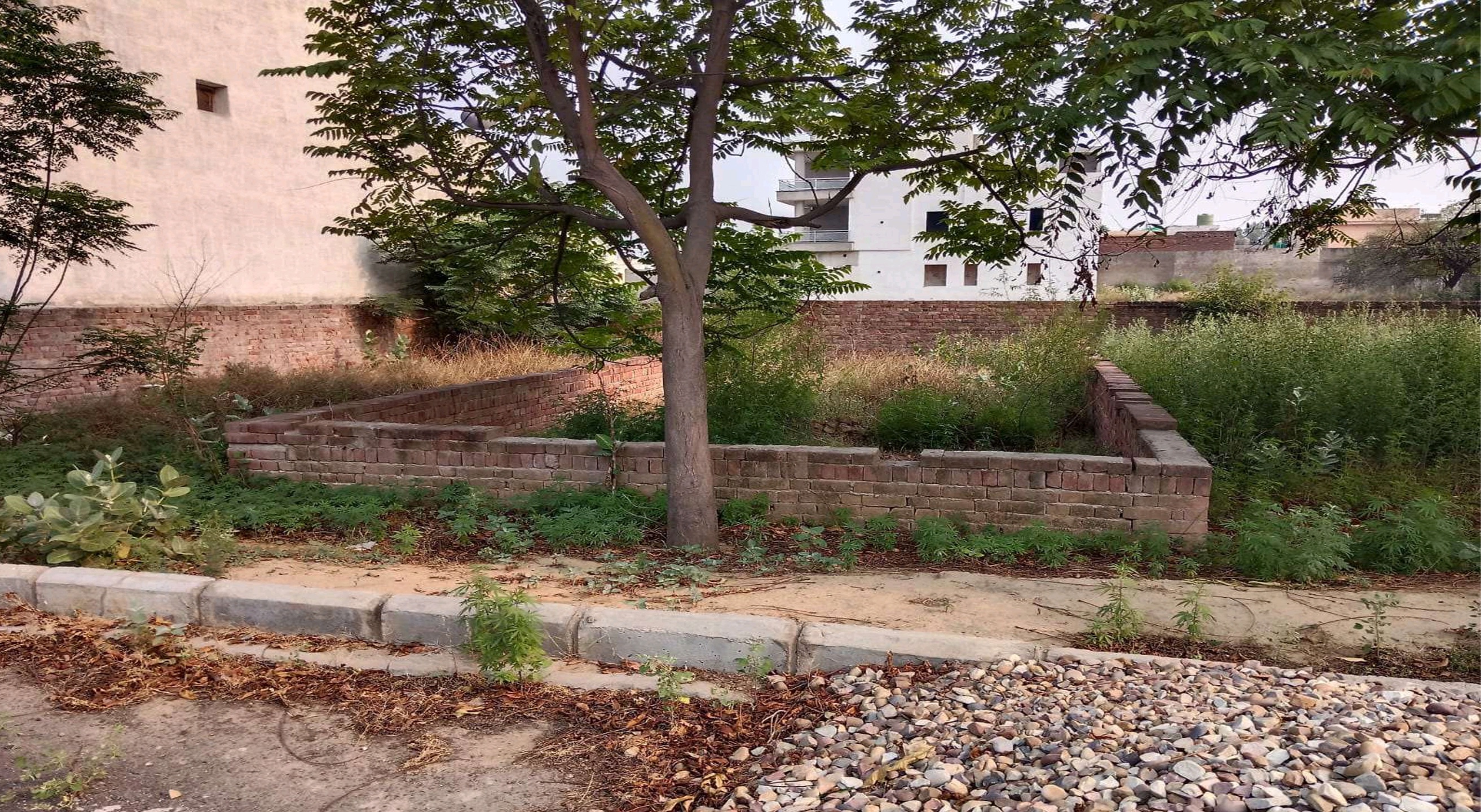 99.81 square yard Plot for sale in Sunam Udham Singh Wala — photo 1