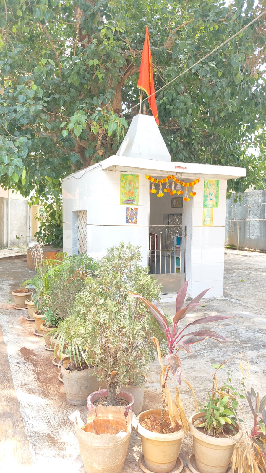1 BHK Flat for sale in Golden Eye, Shirgaon Dhandekar Industrial Area — photo 8