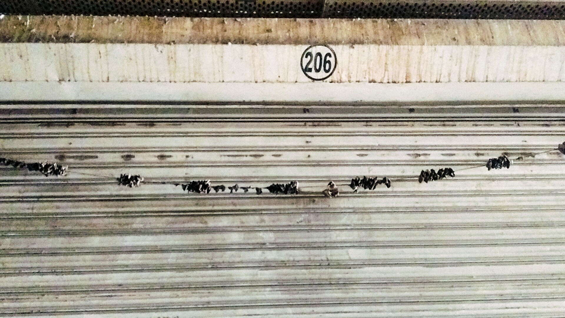 851 square feet Shops for sale in Ulhasnagar — photo 11