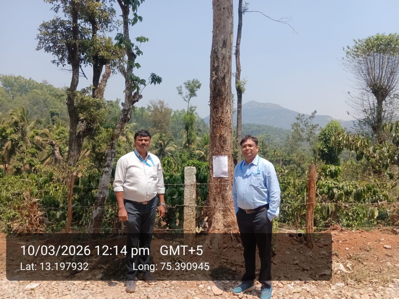 COFFEE PLANTATION for sale in marasanige Mudigere — photo 1