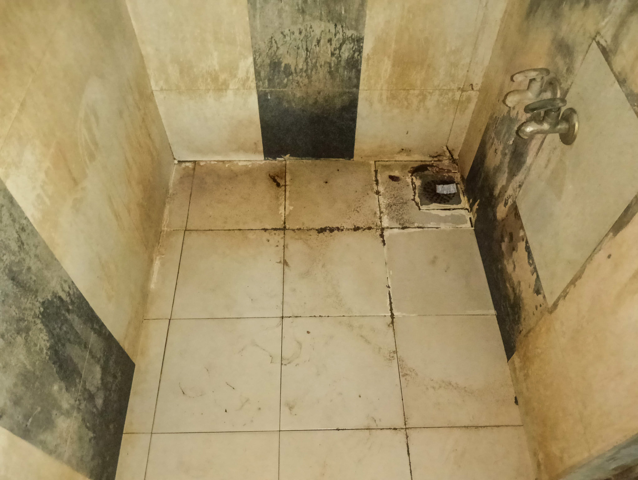 Flat for sale in Gotri, Vadodara Vadodara — photo 8