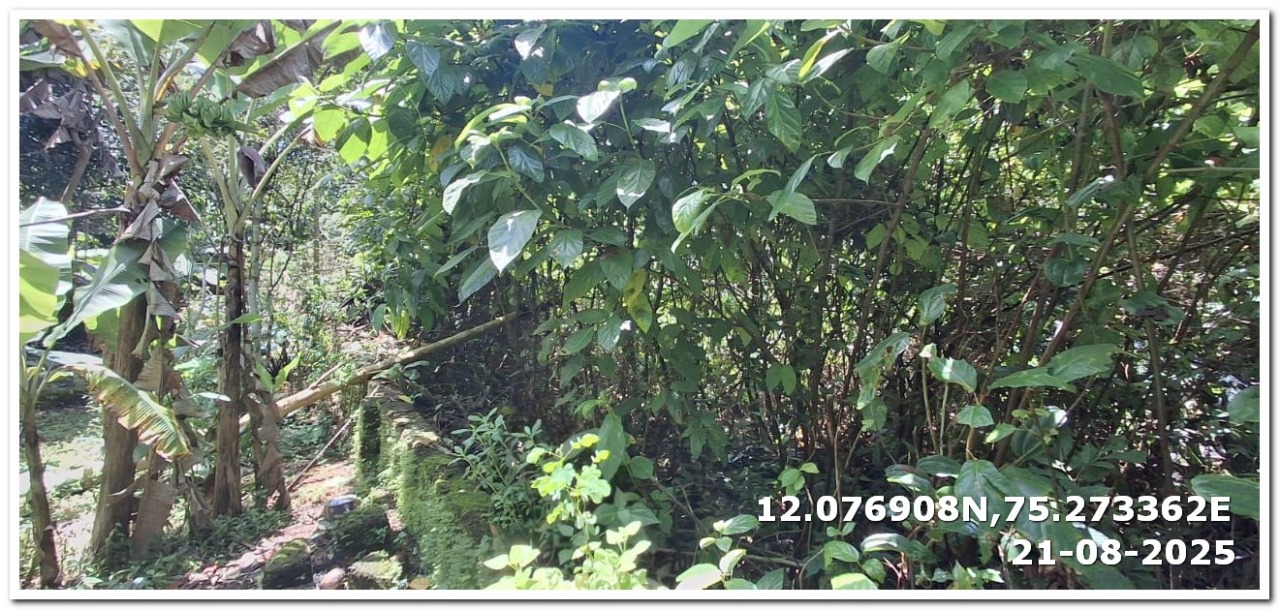 Plot for sale in Azhikode — photo 1