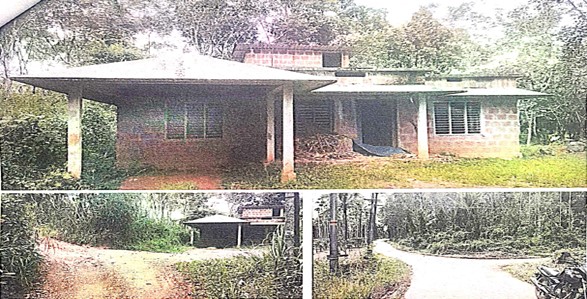 Individual House for sale in MANANTHAVADY Mananthavady — photo 2