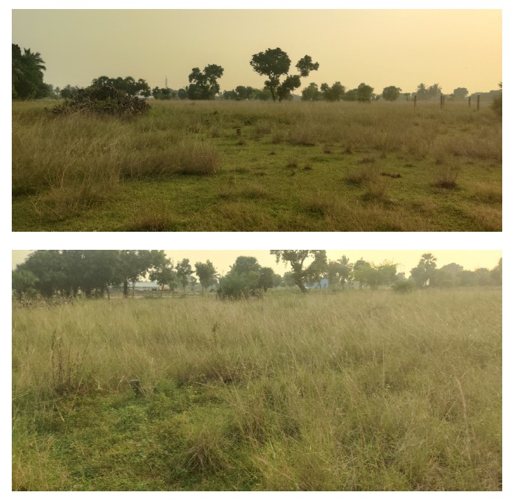 6105 square feet Plot for sale in Karunguzhi — photo 2