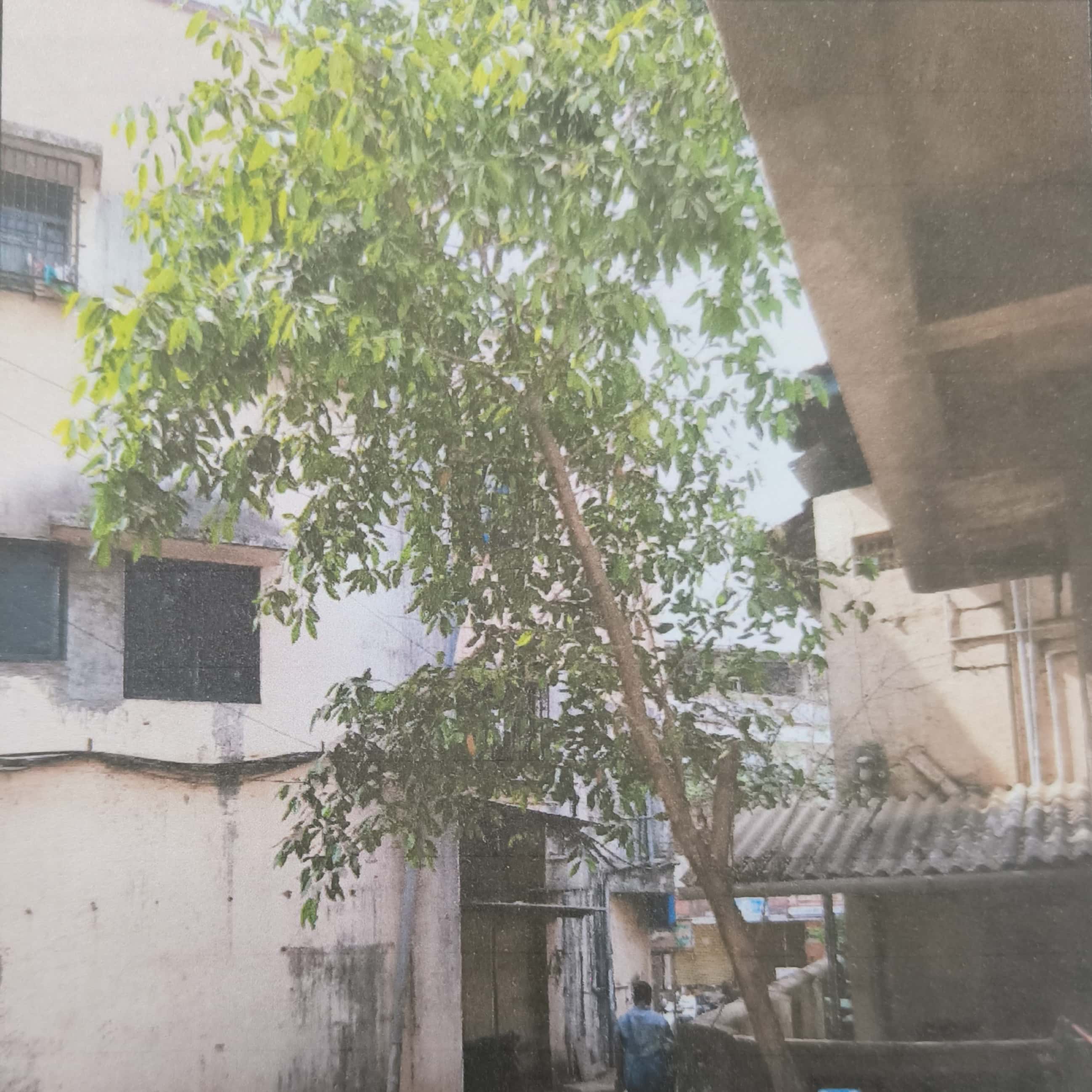 Flat for sale in Badlapur — photo 3