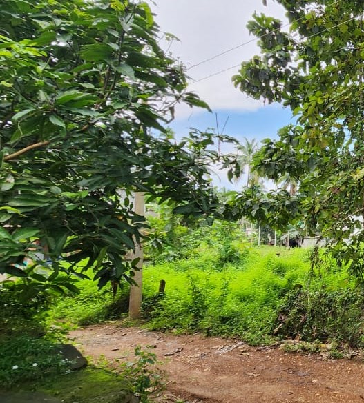 Plot for sale in Nilambur — photo 1