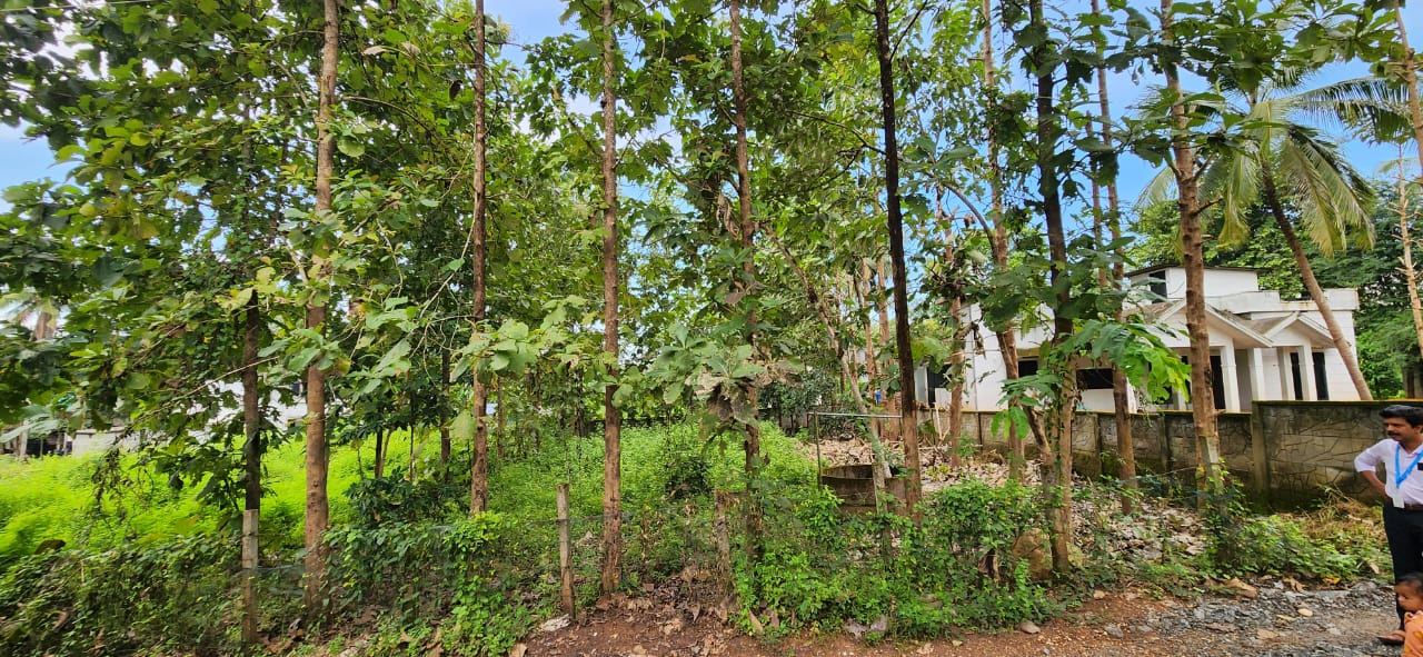 Plot for sale in Nilambur — photo 1