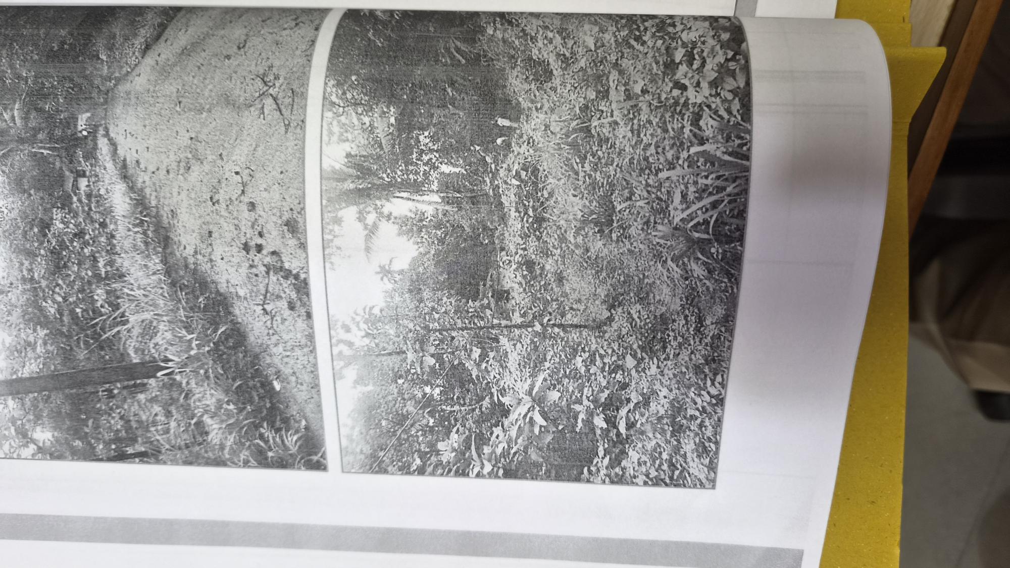Plot for sale in Govt LP School, Inchiyani Thodupuzha — photo 1