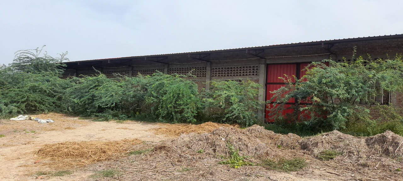 Godowns for sale in Malaut — photo 3