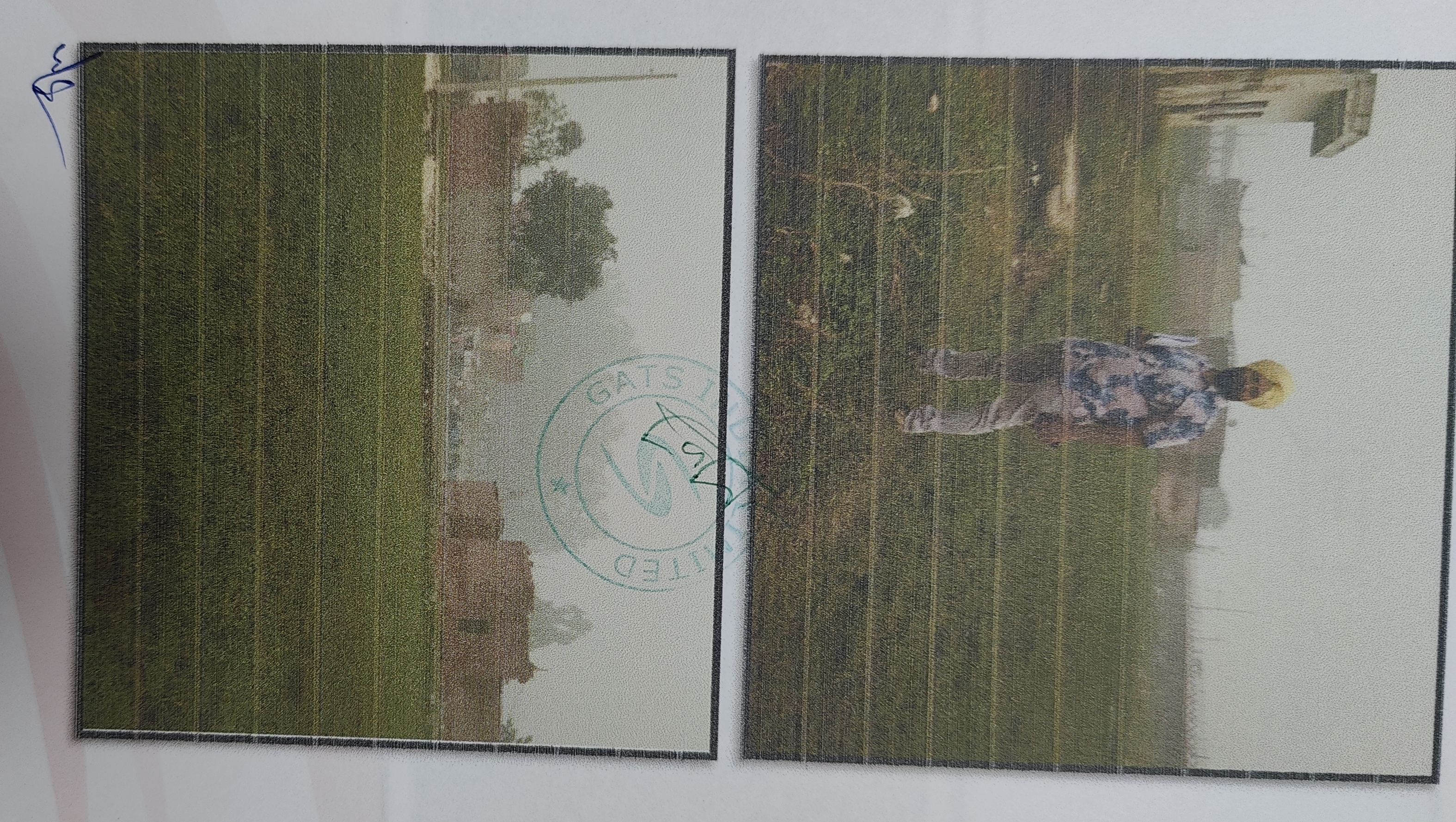 Plot for sale in BALDEV NAGAR Ambala