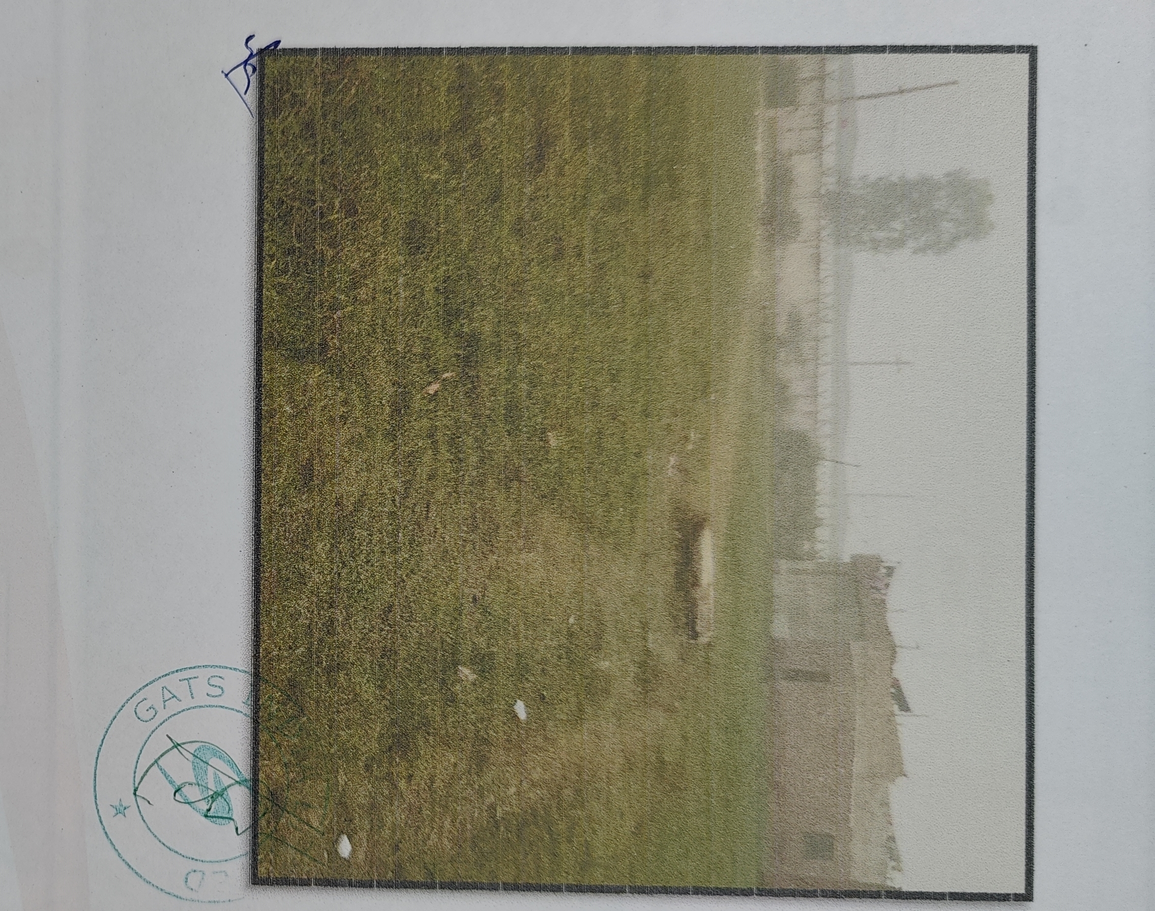 Plot for sale in BALDEV NAGAR Ambala