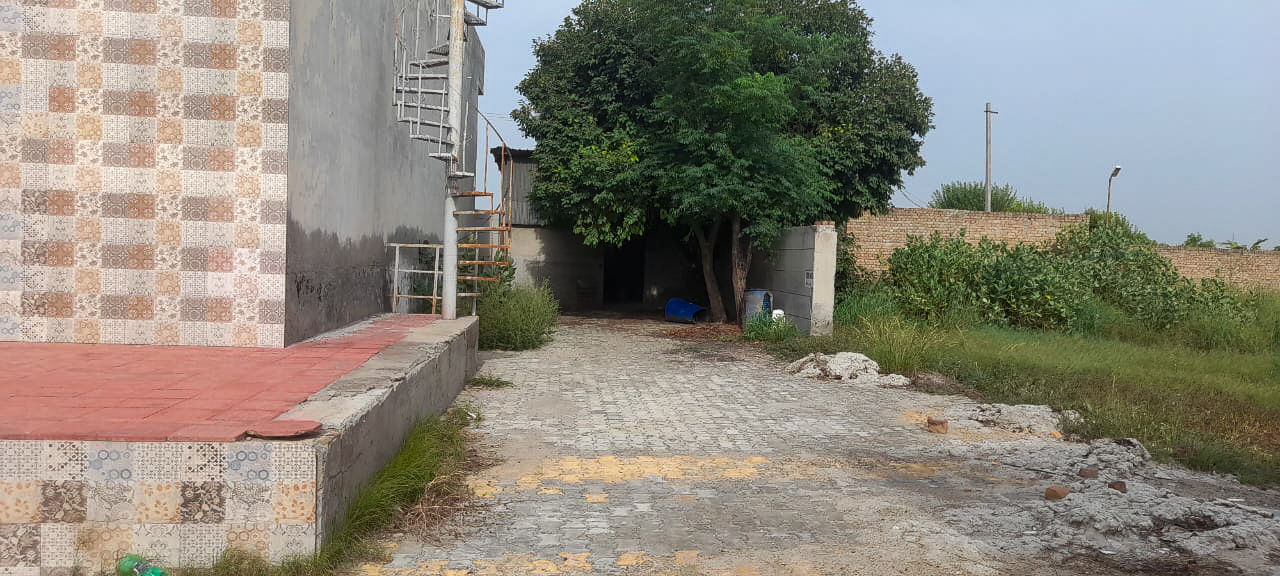 Industrial Shed for sale in Malaut — photo 3