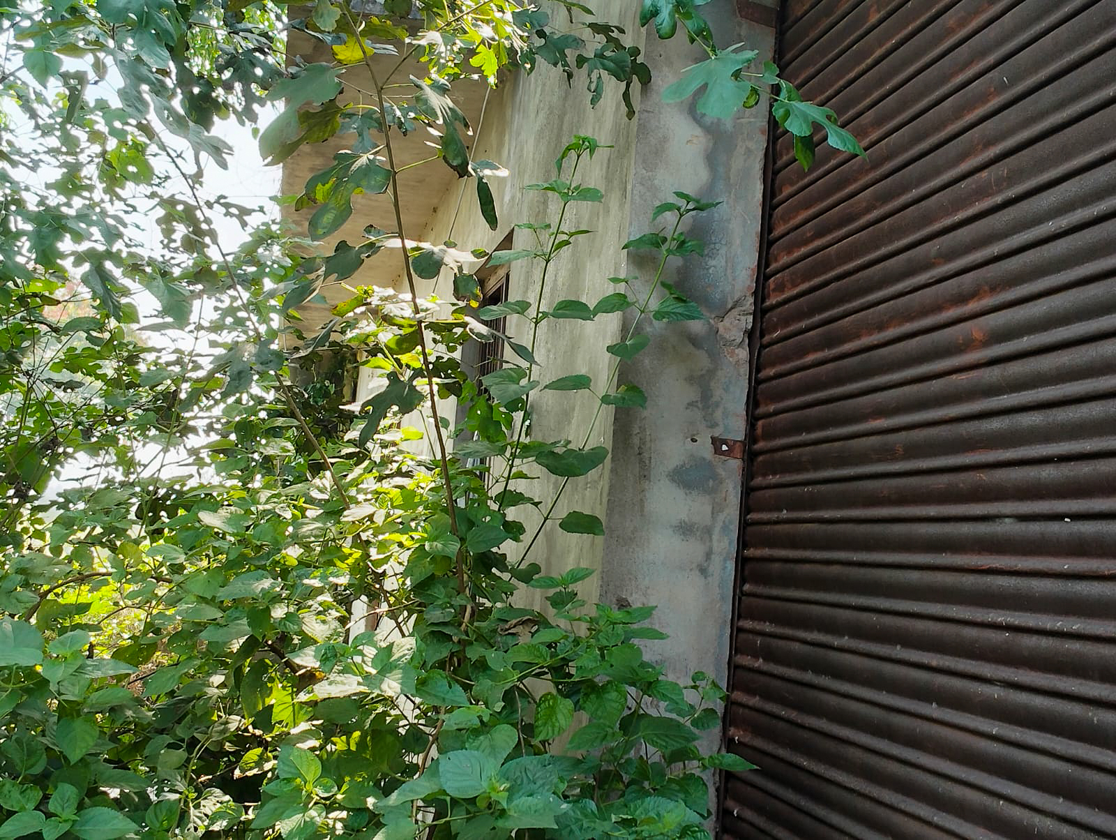 3940 square feet Godowns for sale in BANGA Banga — photo 3
