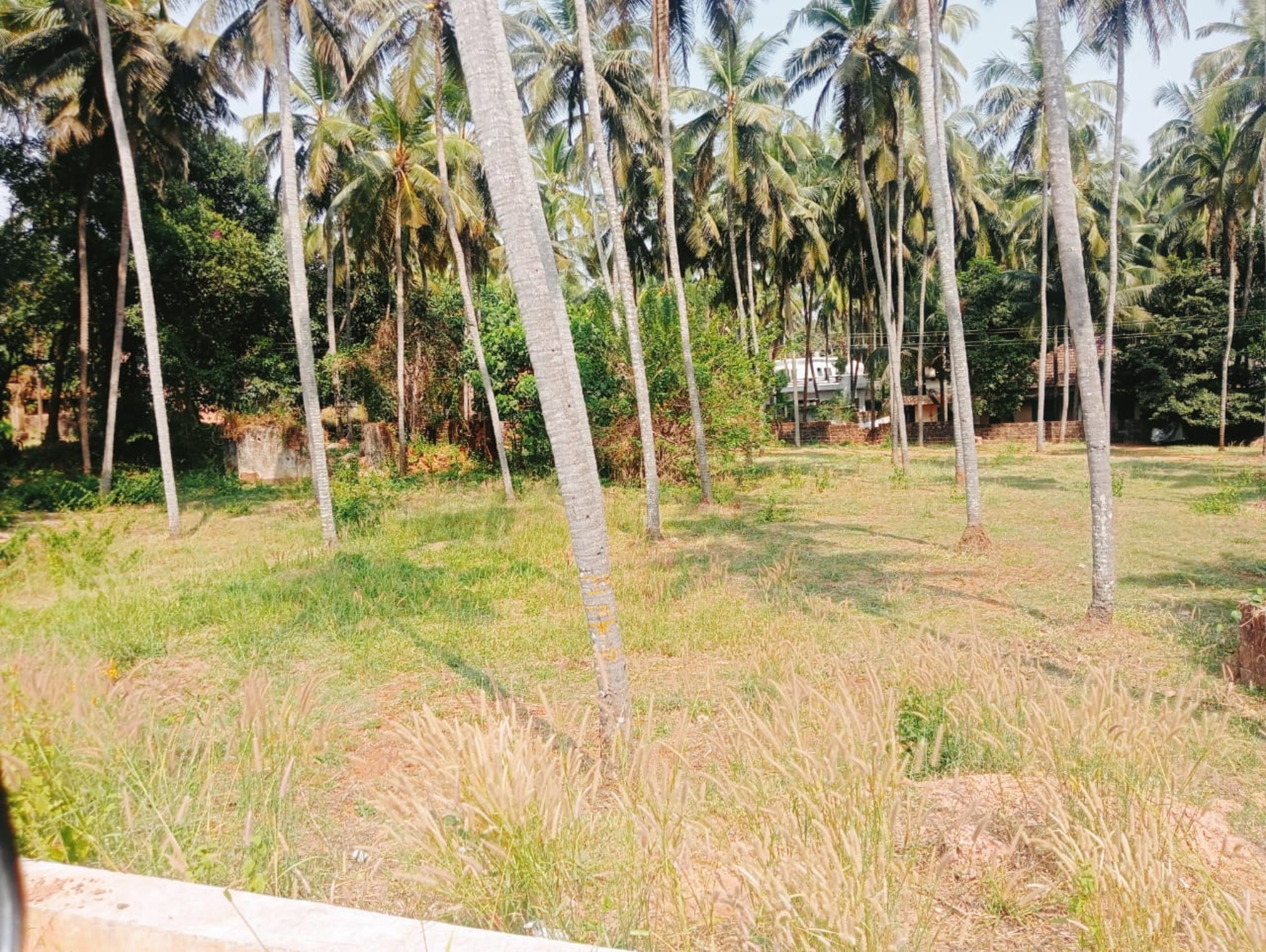 Plot for sale in Chengala — photo 1