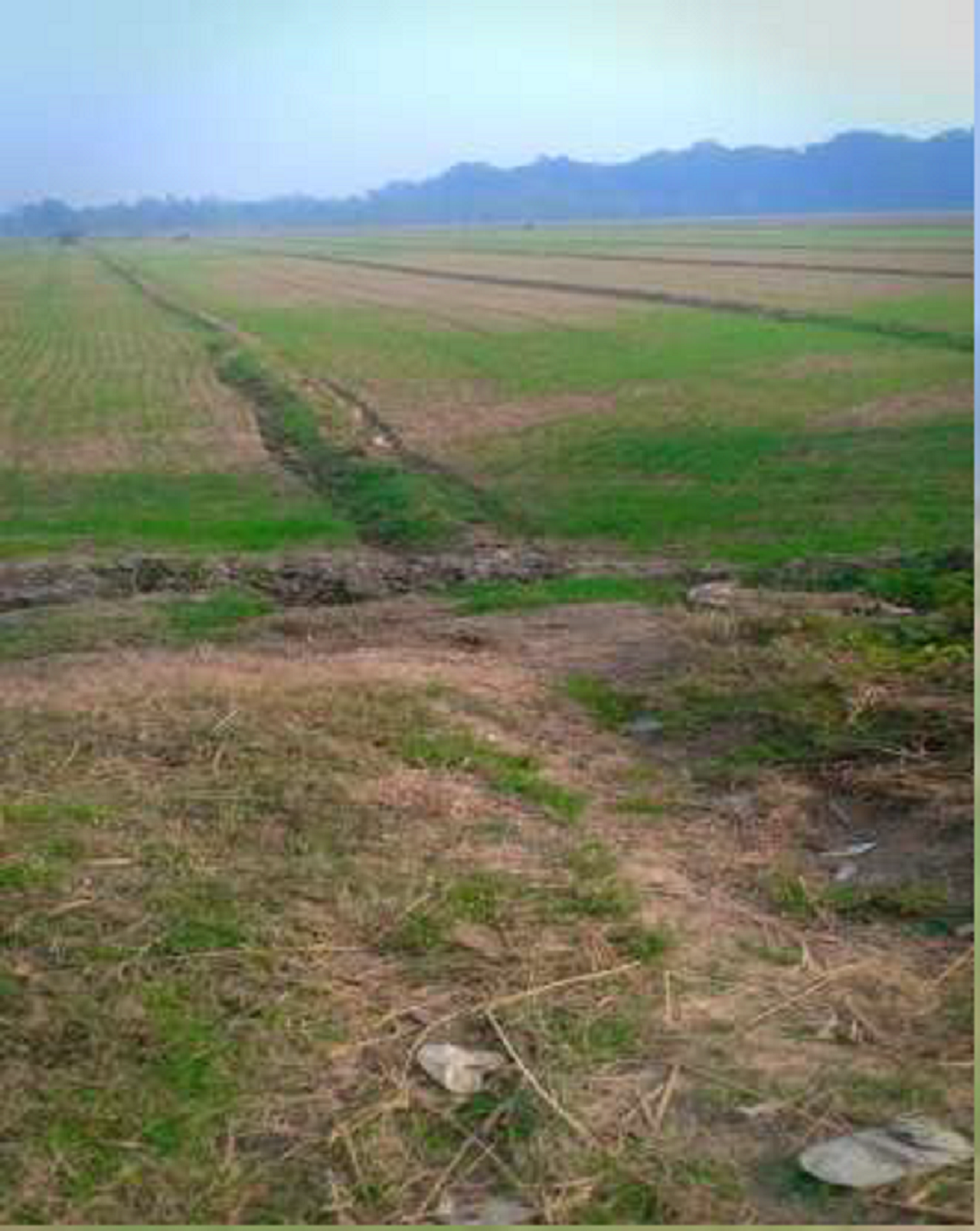 Non-agriculture land for sale in Jaspur — photo 2
