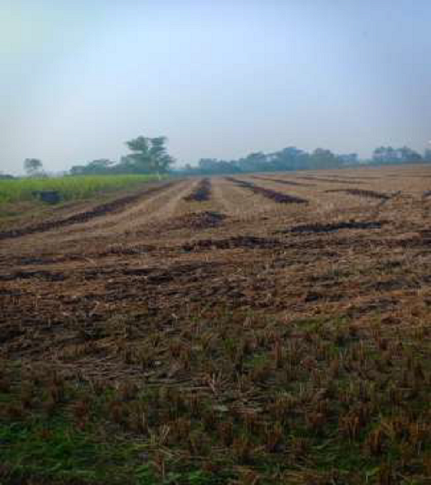 Non-agriculture for sale in Jaspur — photo 1