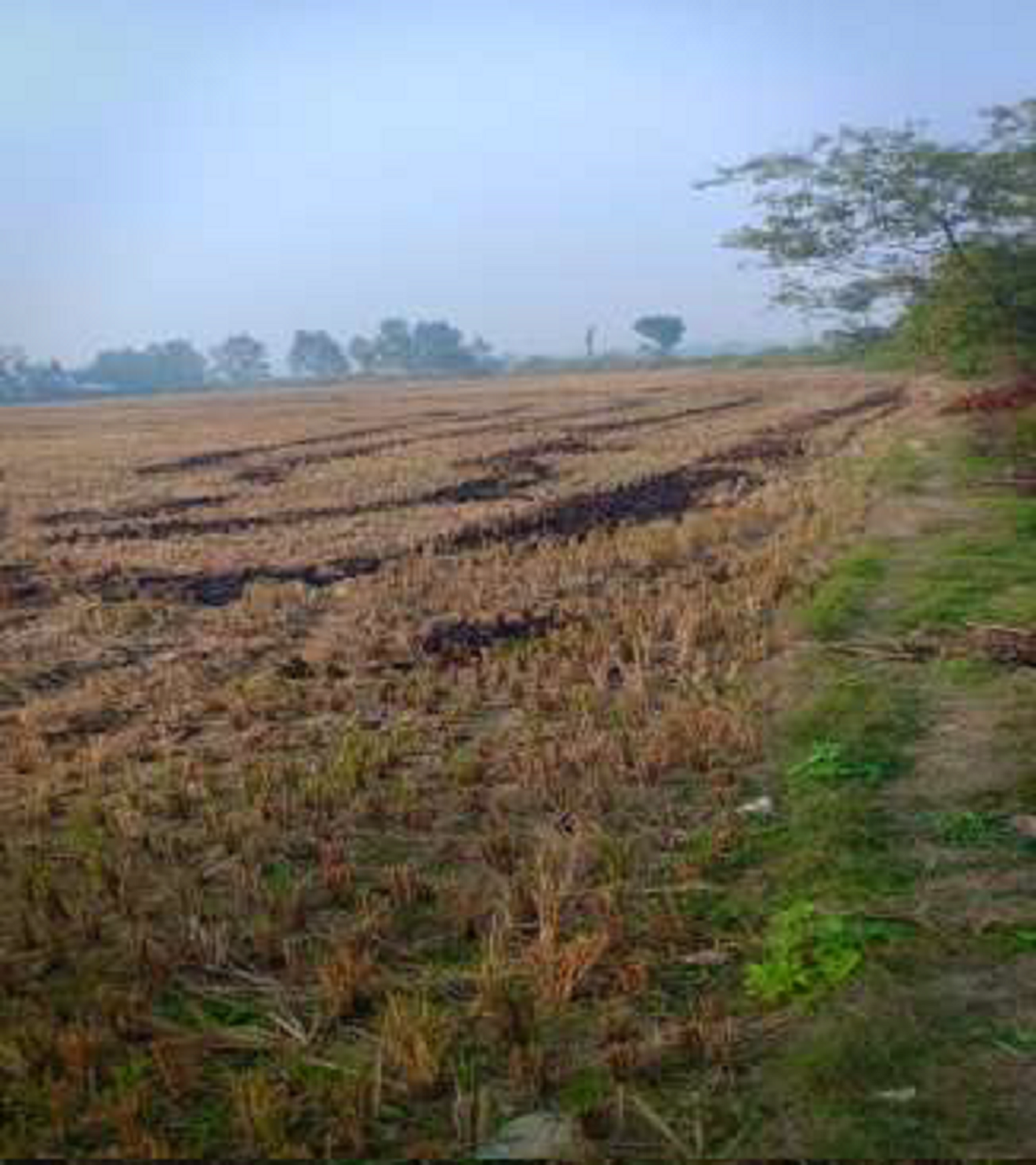 Non-agriculture for sale in Jaspur — photo 2