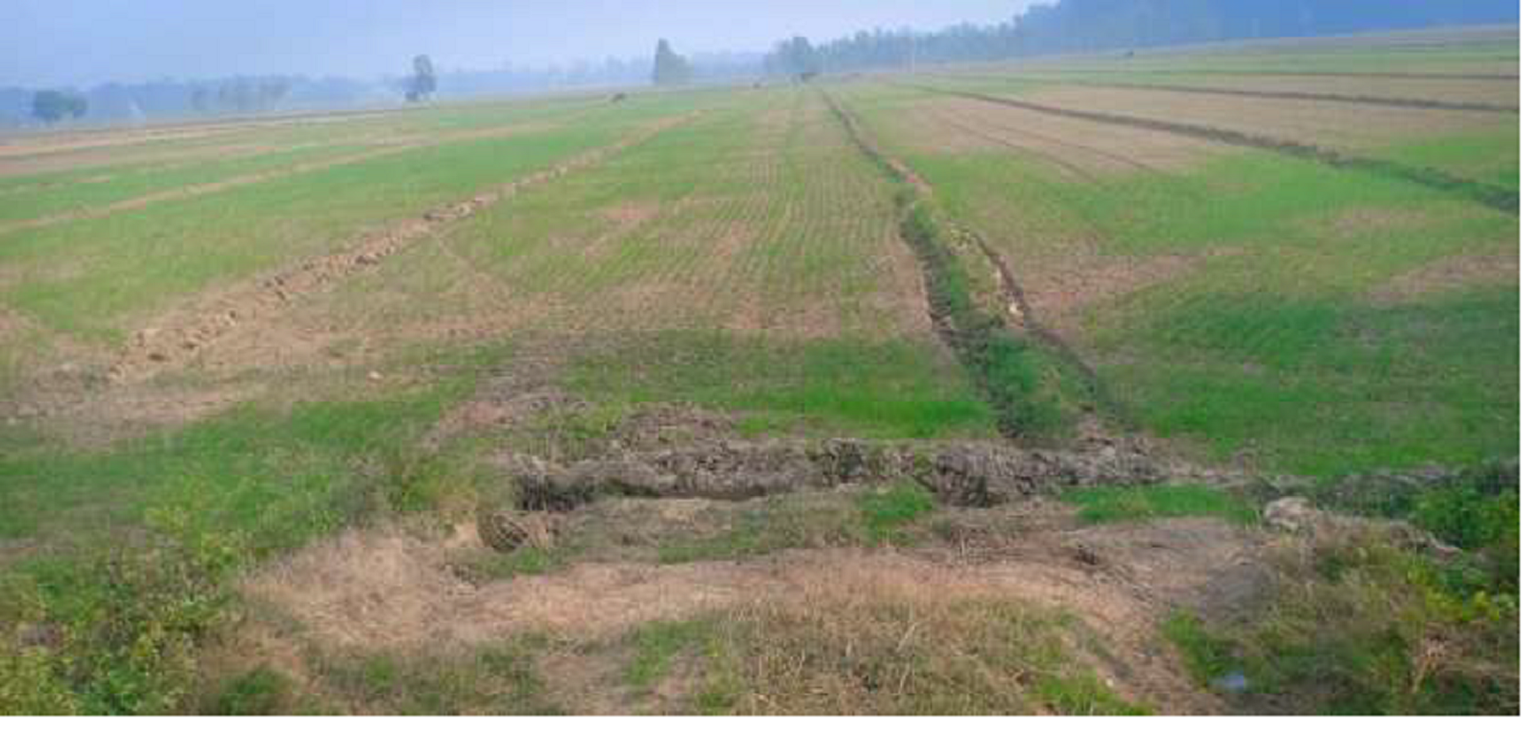 Non-agriculture land for sale in Jaspur — photo 1