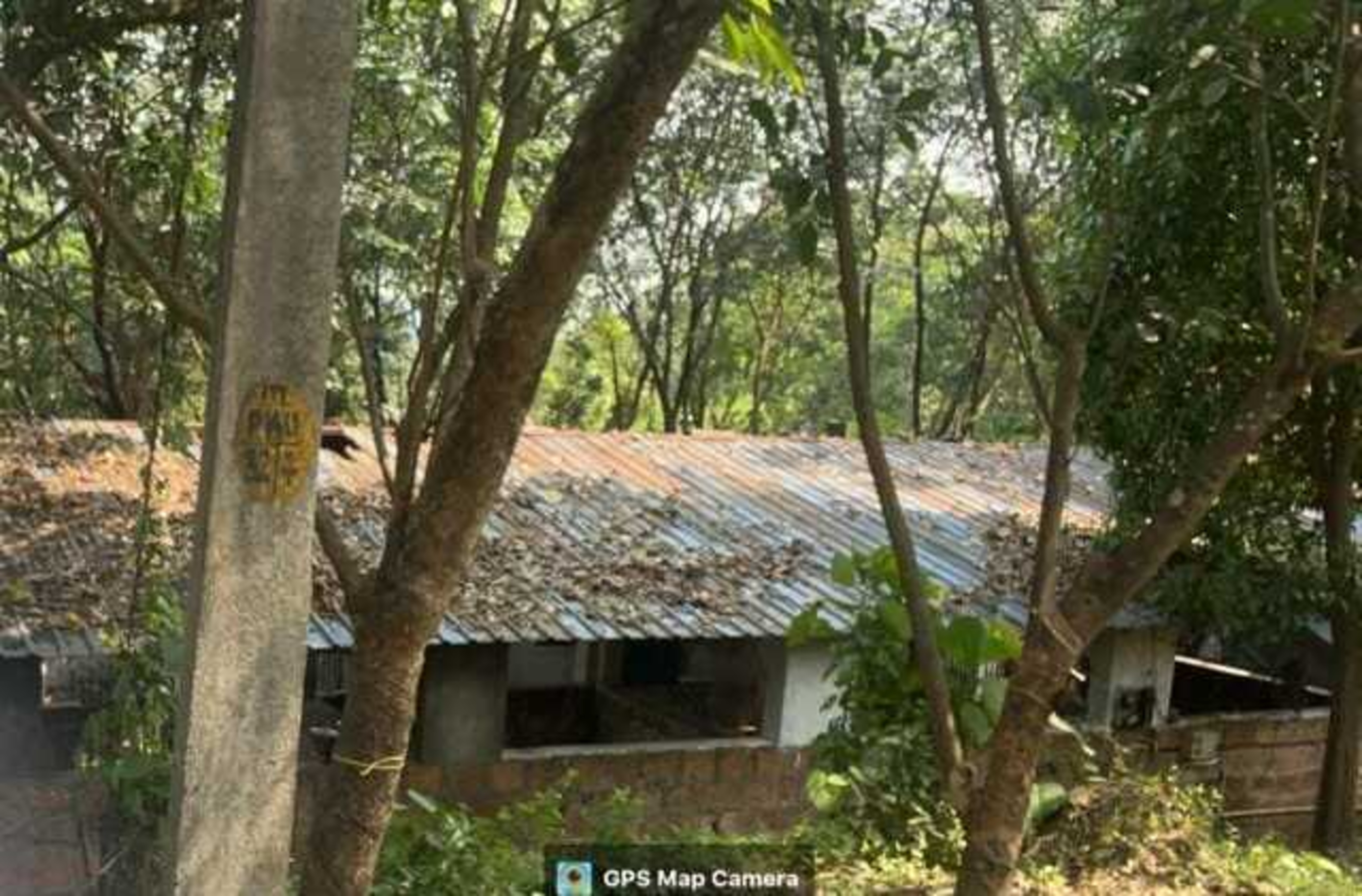 Farm House for sale in Padiyur — photo 6