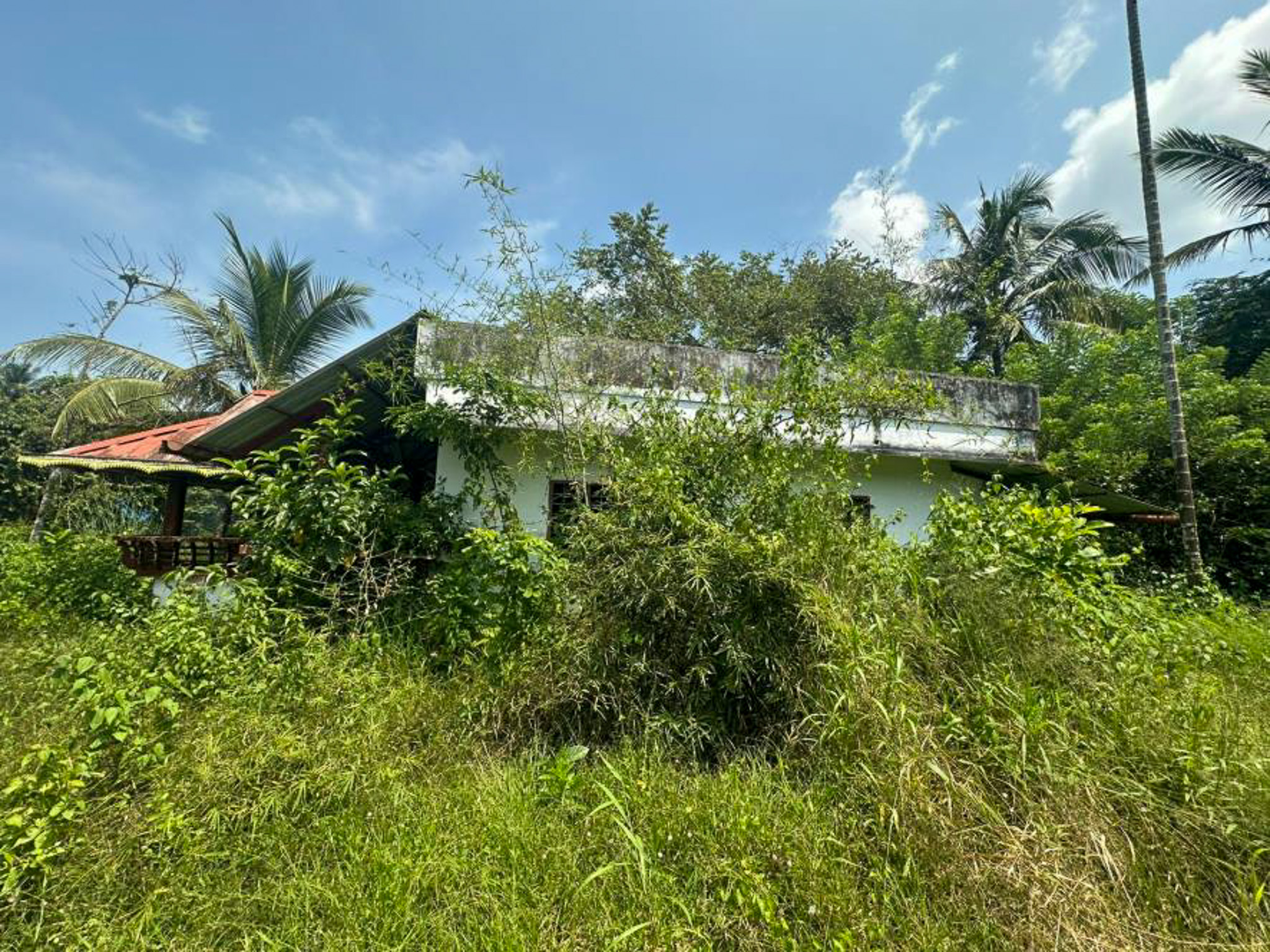 Individual House for sale in THAZHEKKAD VILLAGE Avittathur — photo 14